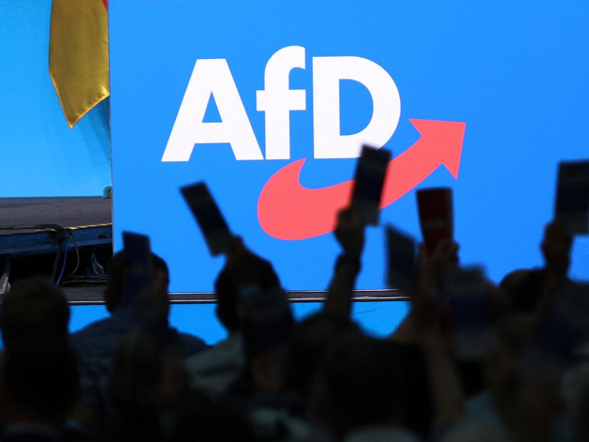 Abgeordnete bringen Bundestagsantrag für AfD-Verbotsverfahren ein - bei Kurznachrichten Plus