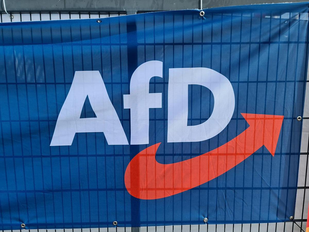 AfD will gegen Versammlungsverbot auf Mannheimer Marktplatz klagen - bei Kurznachrichten Plus