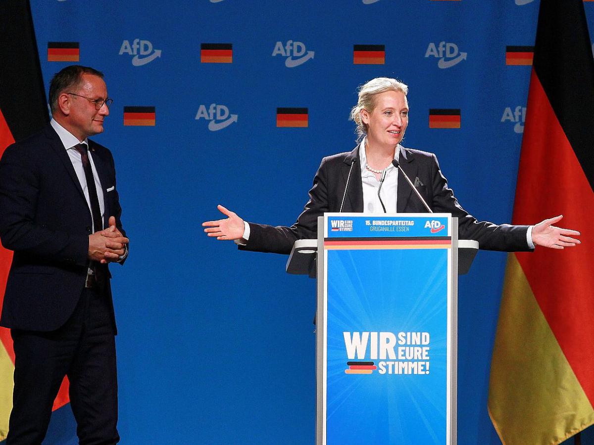 Ampelpolitiker uneins bei AfD-Verbot - bei Kurznachrichten Plus