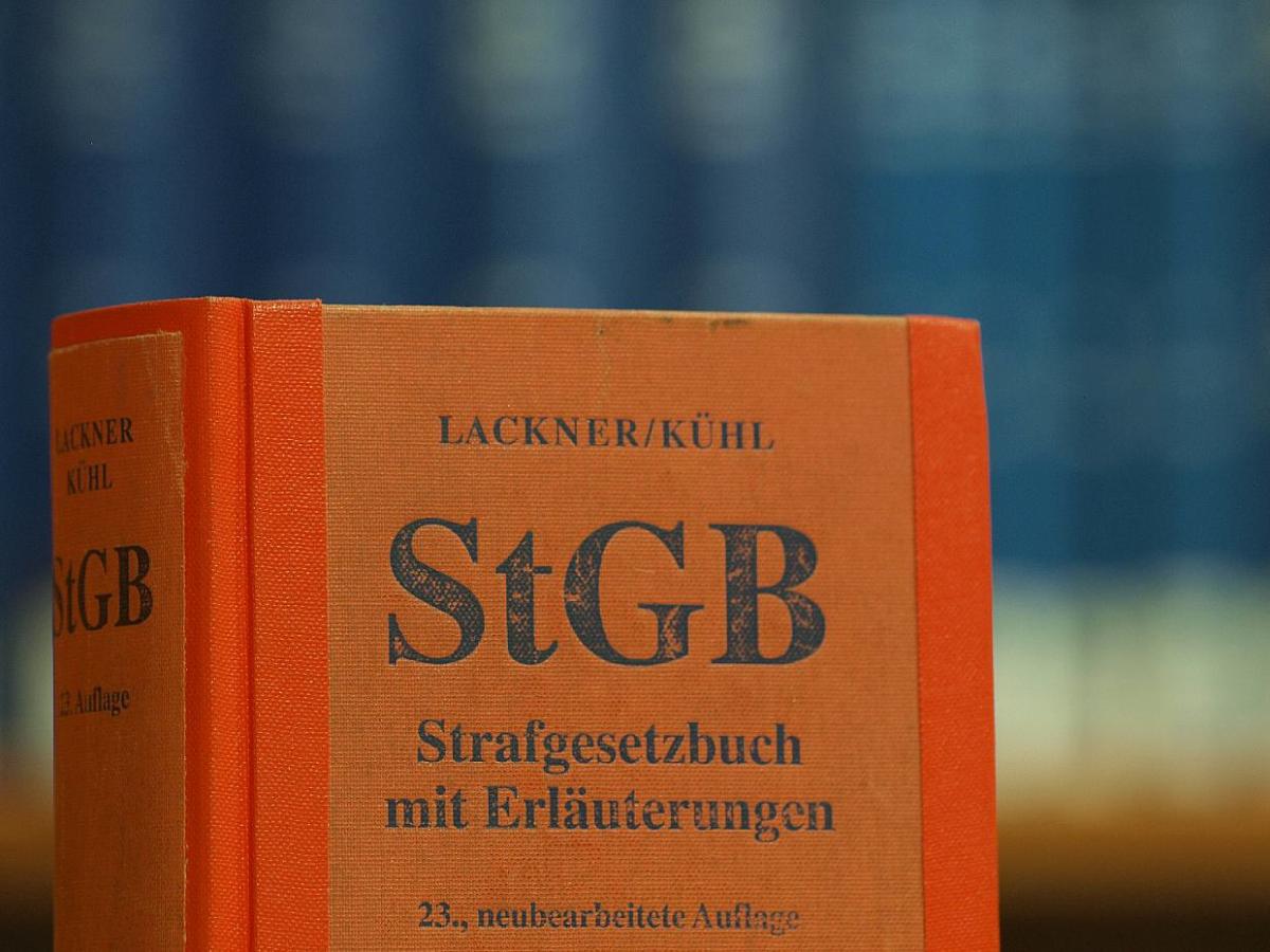 Bayerisches ObLG: Gleichsetzung von Grünen und Nazis strafbar - bei Kurznachrichten Plus