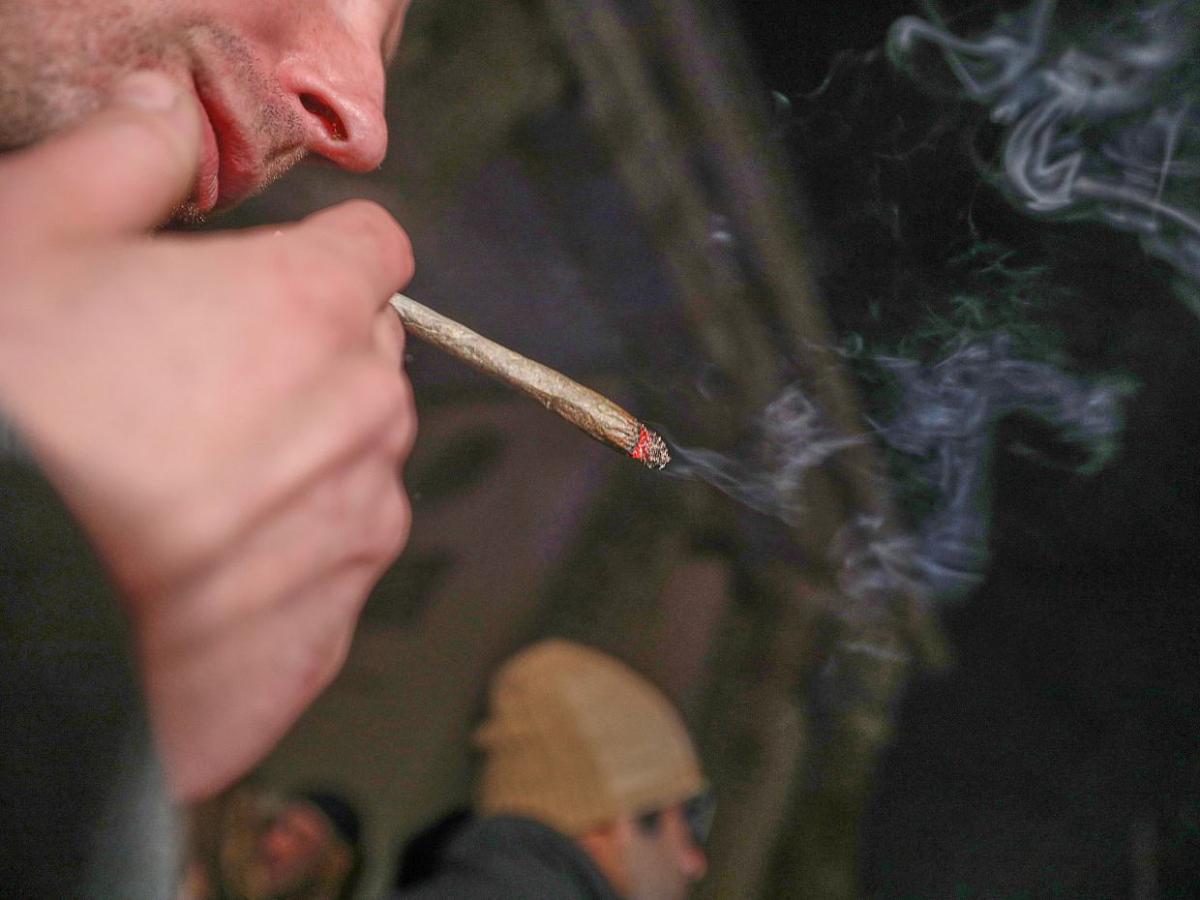 Bundesweit erster Anbauverein will ab Dienstag legal Cannabis ernten - bei Kurznachrichten Plus