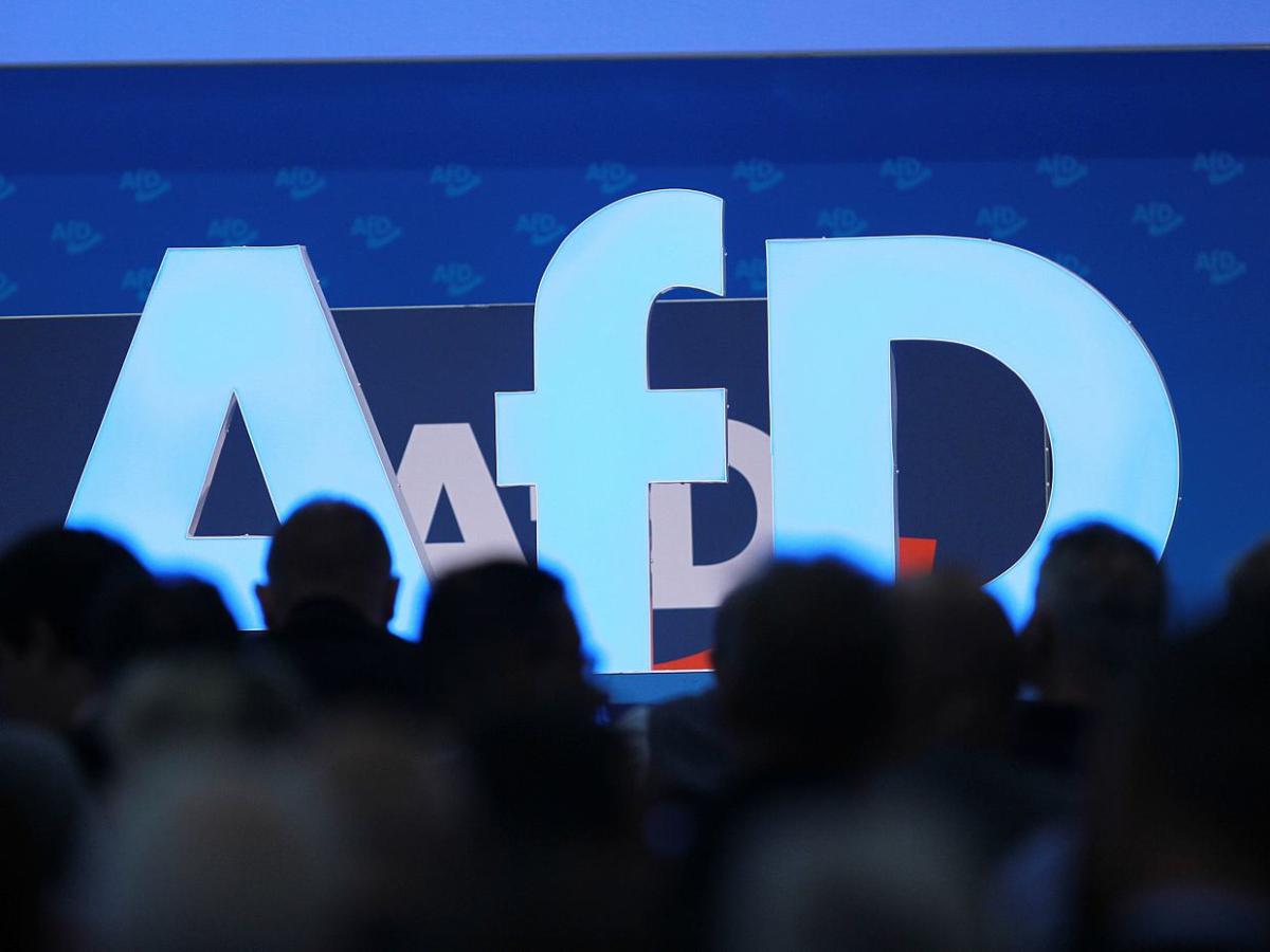 Demoskop hält AfD-Wähler für immun gegen negative Informationen - bei Kurznachrichten Plus