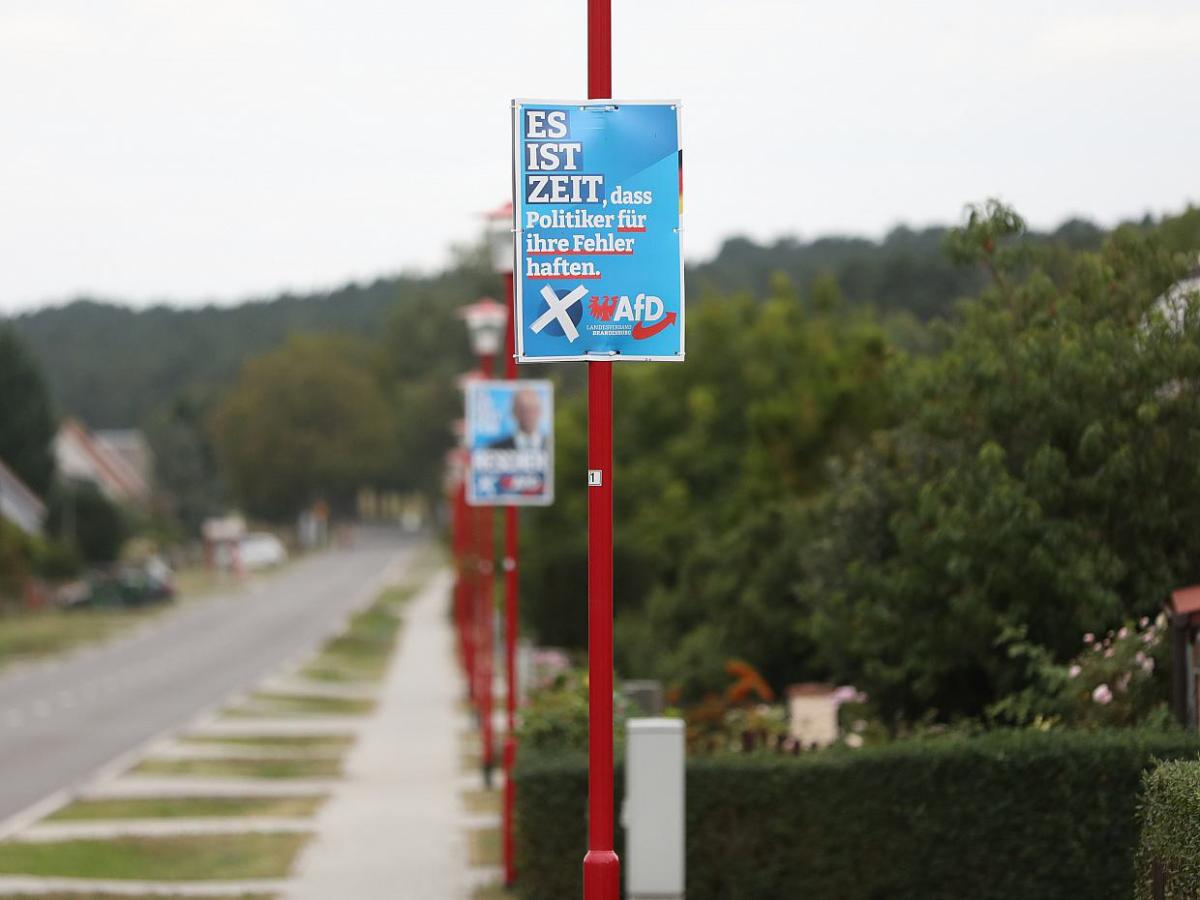 DIW befürchtet Konsequenzen in AfD-starken Regionen - bei Kurznachrichten Plus