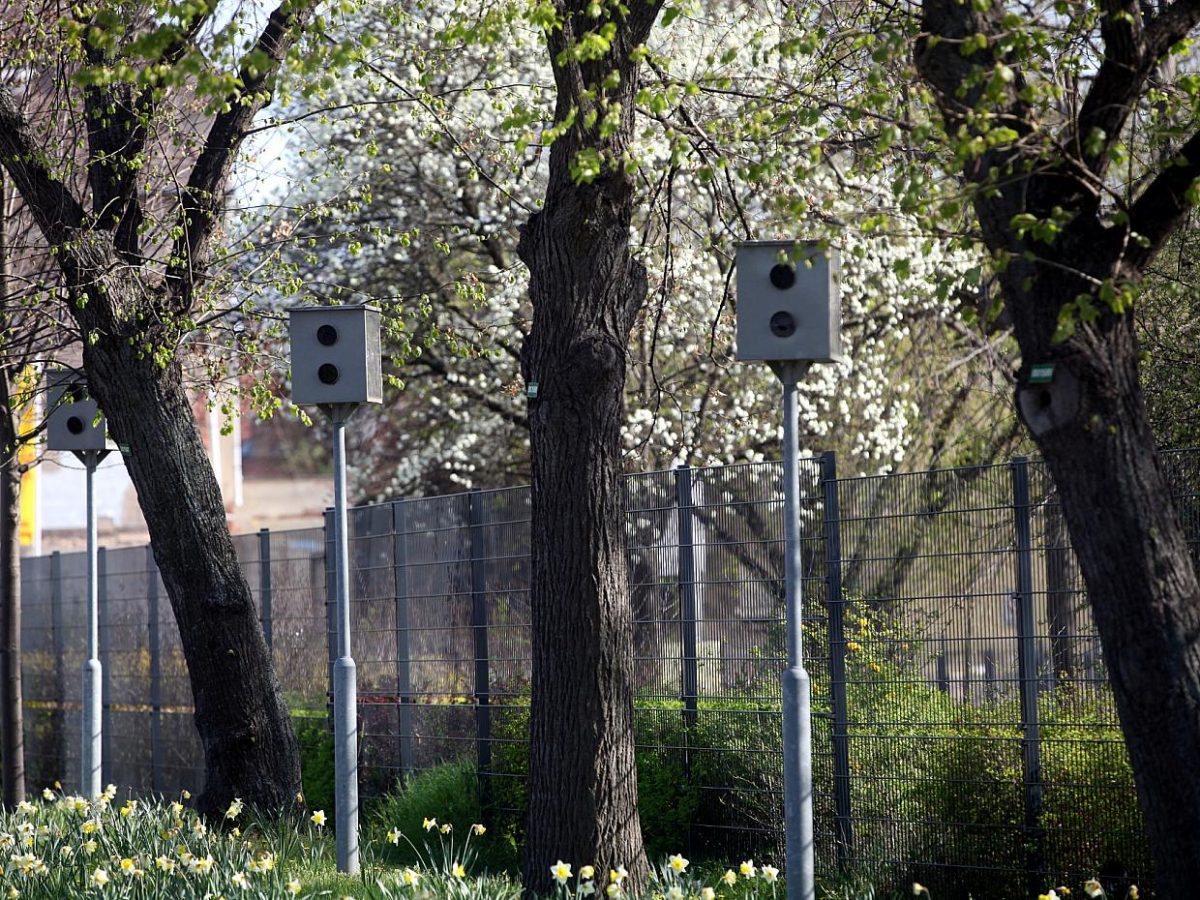 Hamburgs Polizei beklagt zunehmenden Vandalismus gegen Blitzanlagen - bei Kurznachrichten Plus