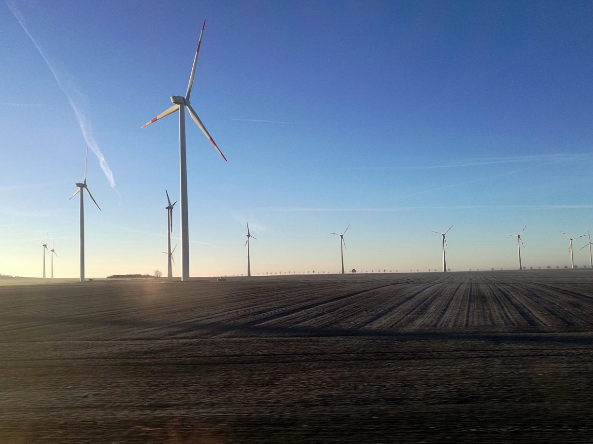 Steuerzahlerbund: Klimaschutz kostet 50 Milliarden Euro pro Jahr - bei Kurznachrichten Plus