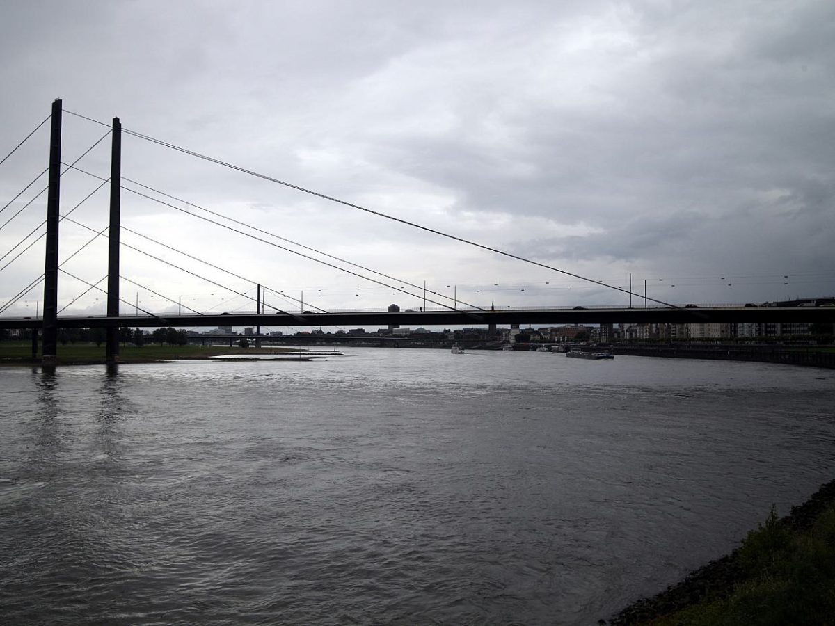 Bundesländer fürchten Verzögerung bei Rhein-Vertiefung - bei Kurznachrichten Plus