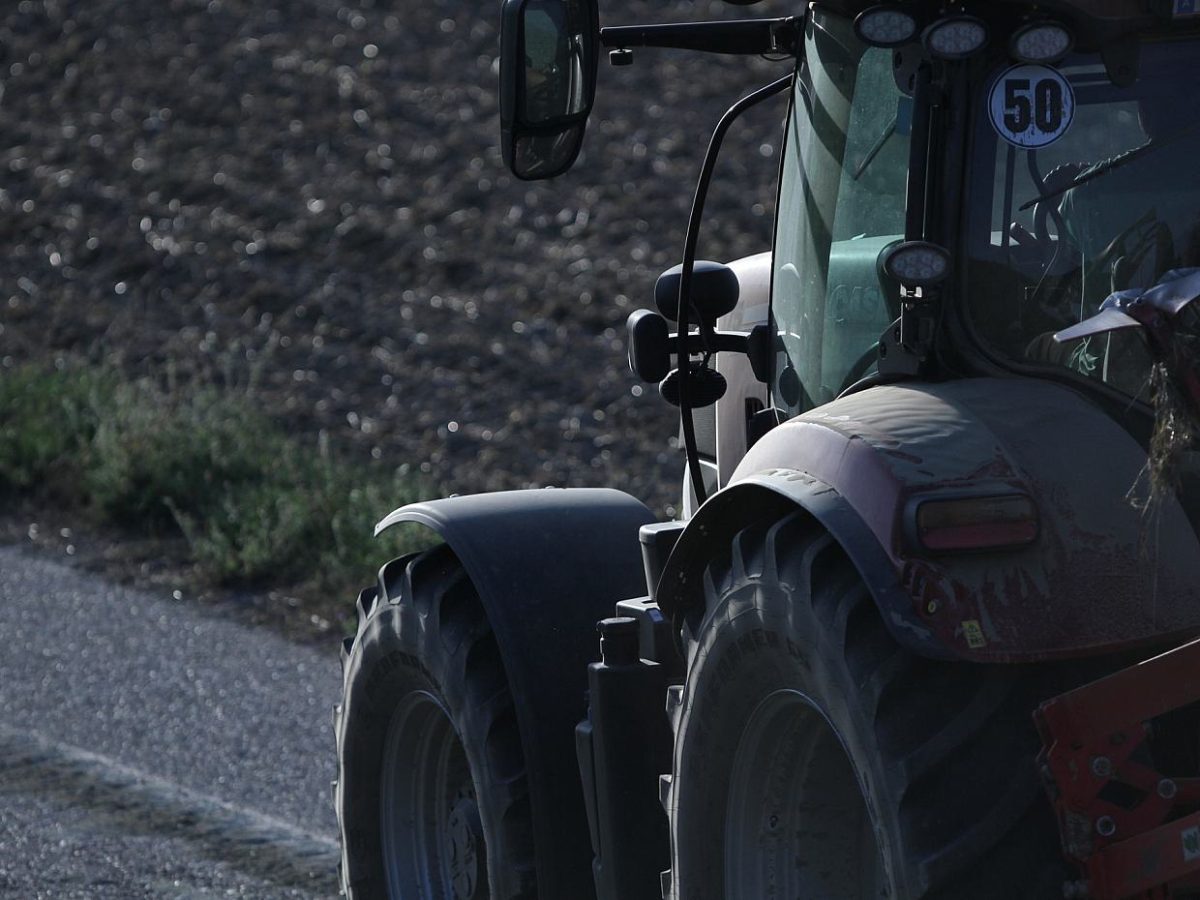 Bund sagt Landwirten Dürrehilfen zu - bei Kurznachrichten Plus