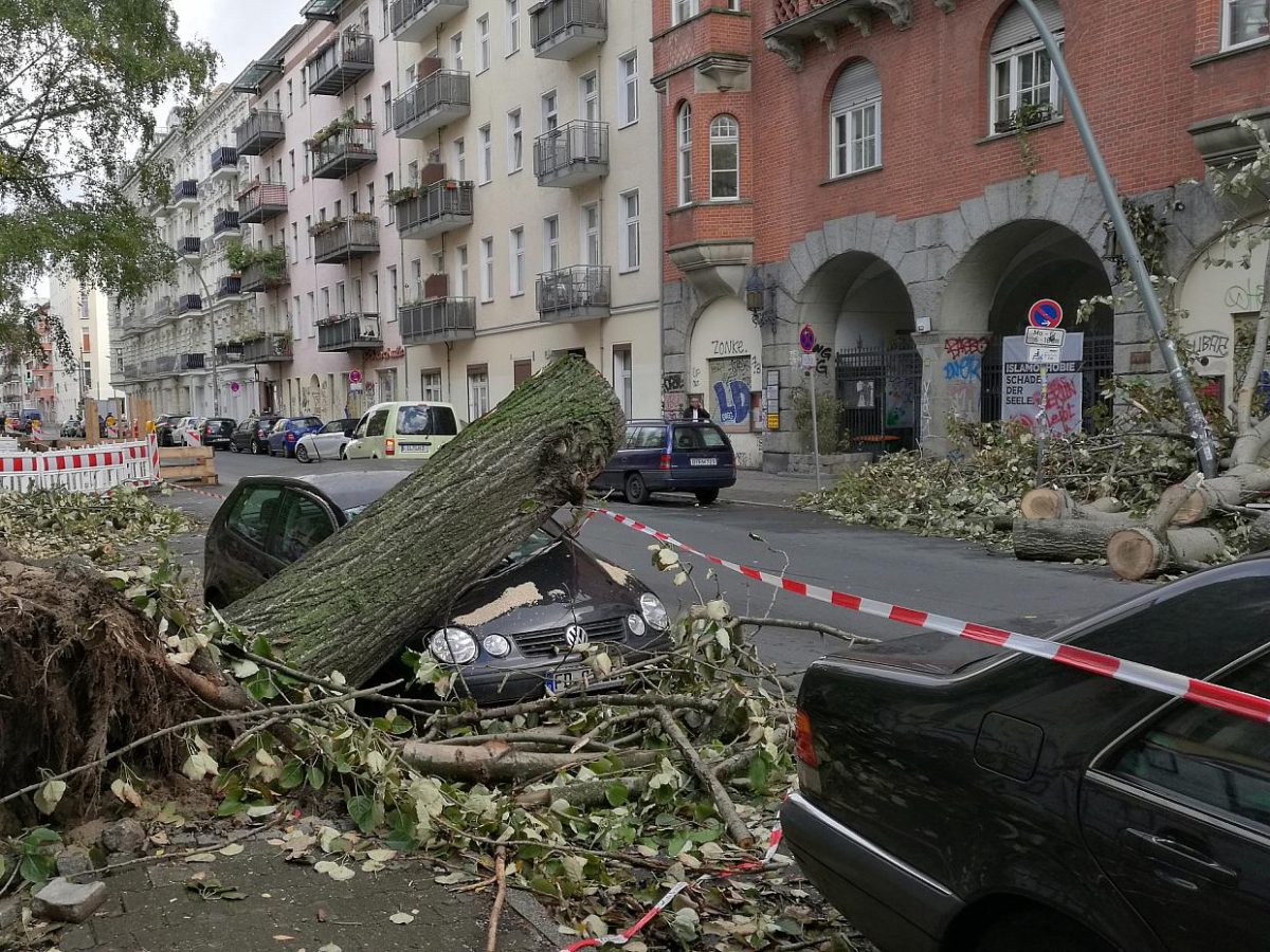 Wetterdienst warnt vor orkanartigen Böen - bei Kurznachrichten Plus