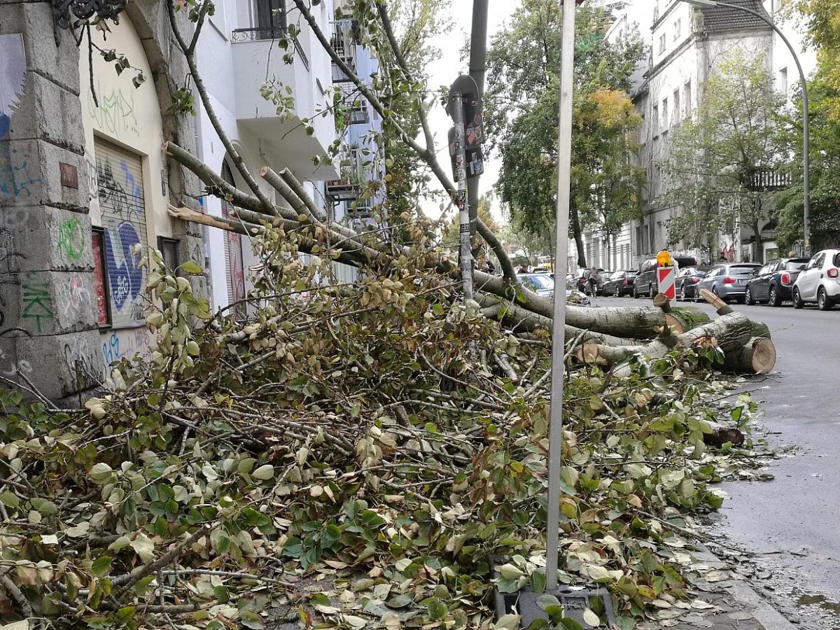 Milliardenschäden durch Sturm und Starkregen - bei Kurznachrichten Plus