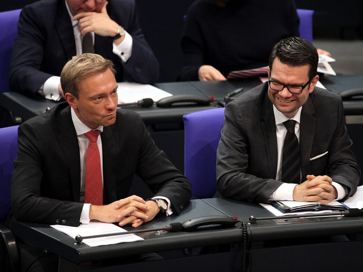 Lindners neues Finanz-Kriminalamt wird von Buschmann blockiert - bei Kurznachrichten Plus