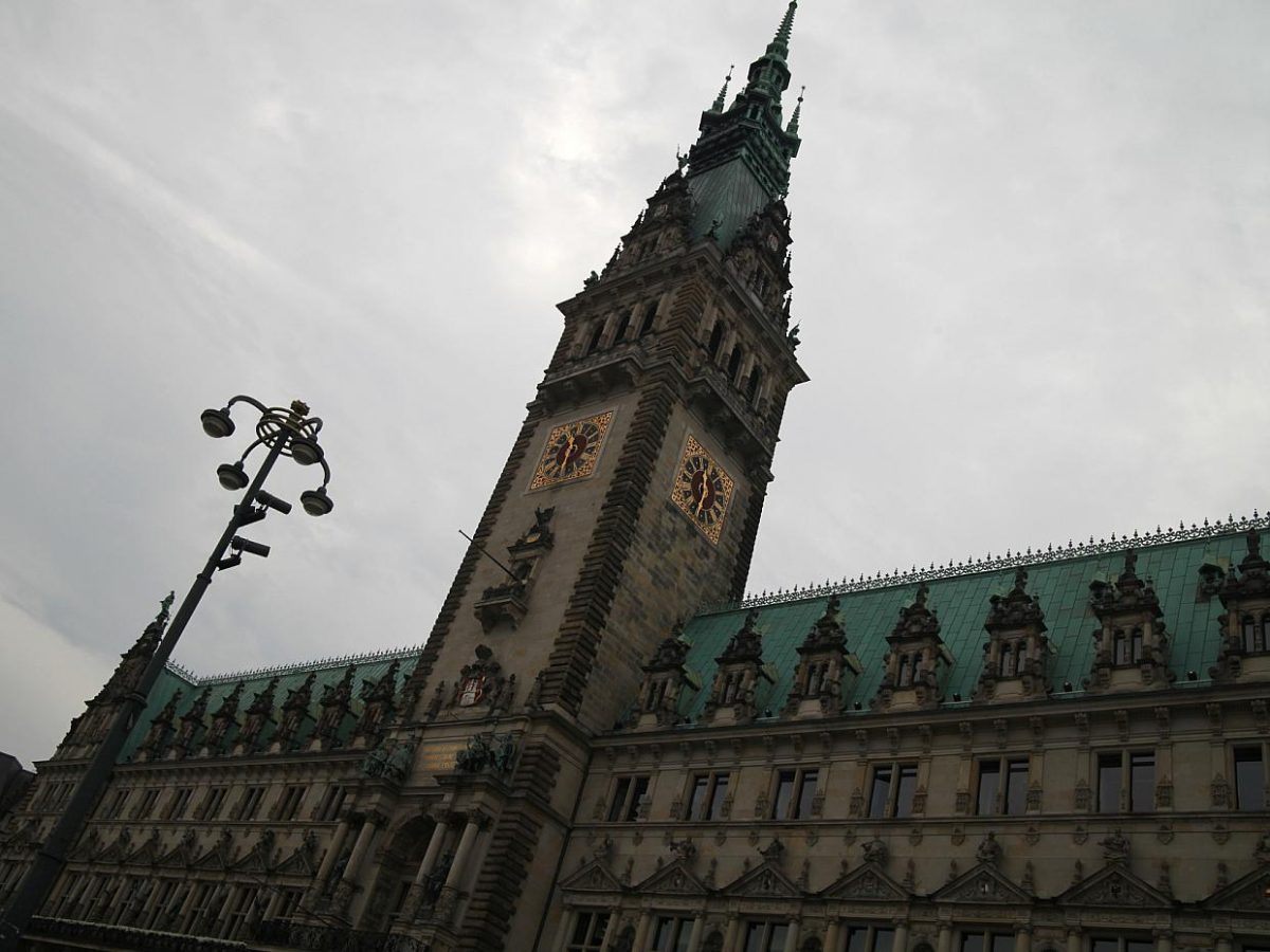 ARD und ZDF prognostizieren Wahl-Debakel für AfD in Hamburg - bei Kurznachrichten Plus