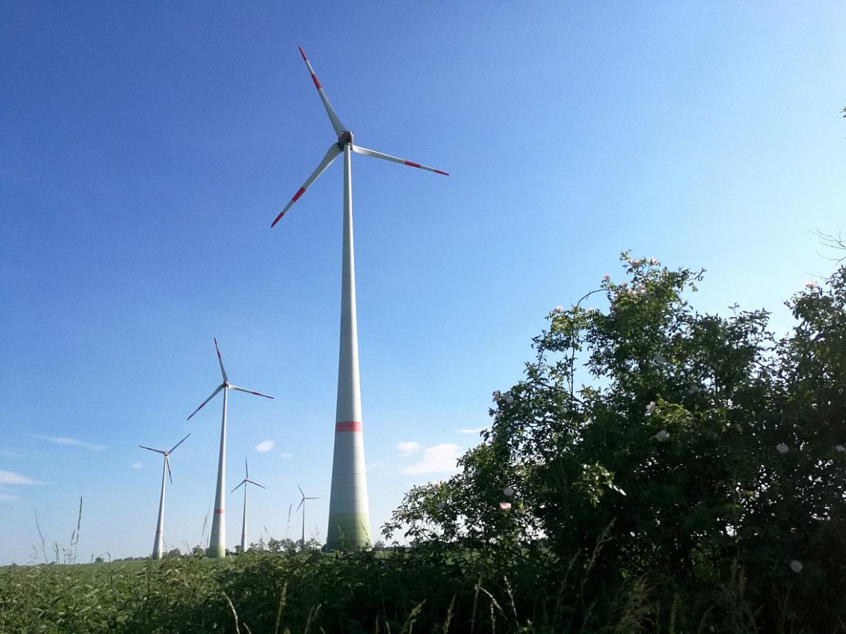 Habeck plant Sondersteuer bei Braunkohle, Wind- und Solaranlagen - bei Kurznachrichten Plus