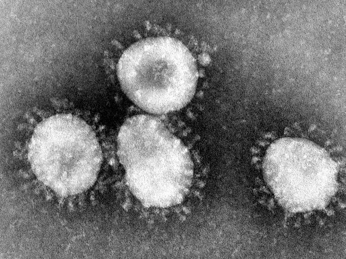 Coronavirus: China-Rückkehrer können Quarantäne verlassen - bei Kurznachrichten Plus