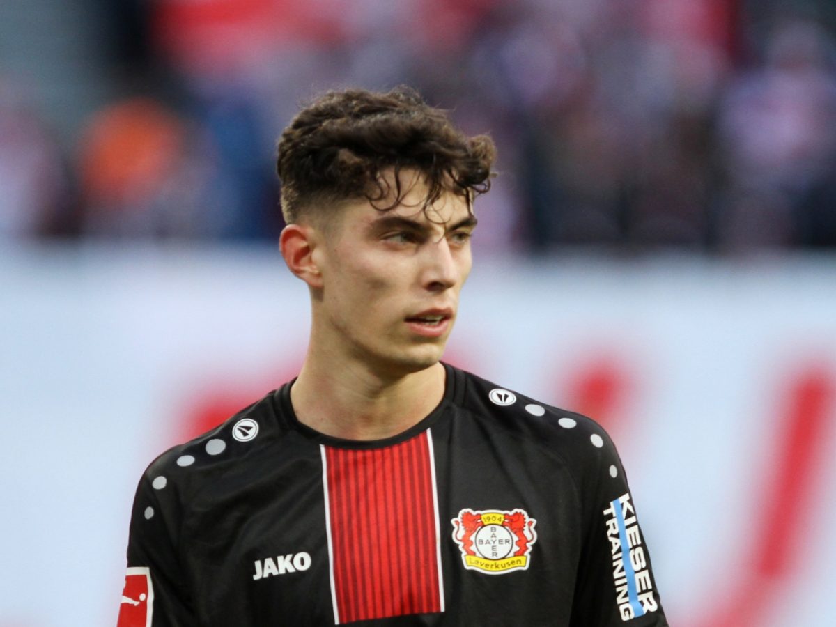 Leverkusen-Star Havertz ist großer Esel-Fan - bei Kurznachrichten Plus