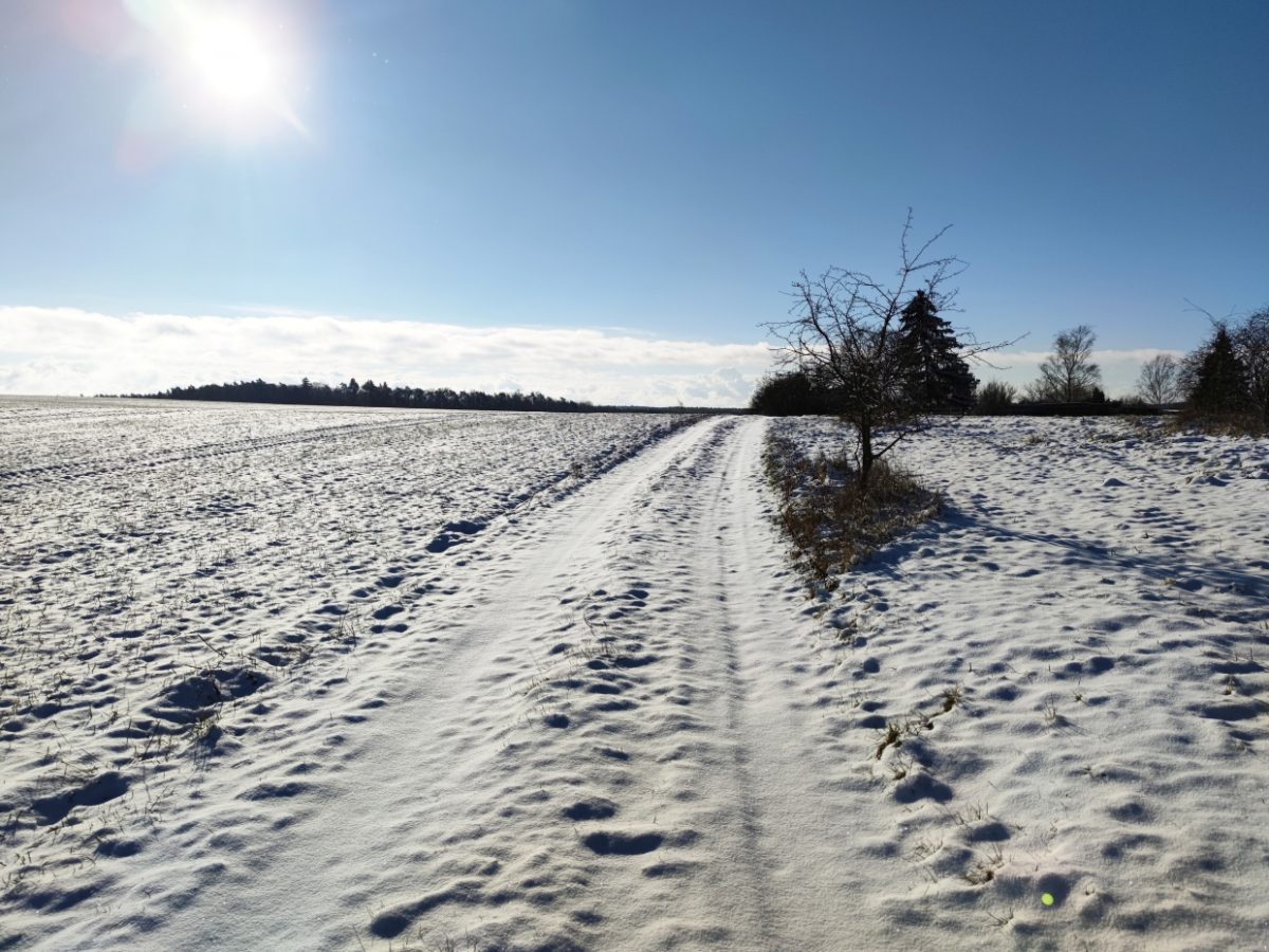 Verkehrsminister rät von Reisen bei Schneechaos ab - bei Kurznachrichten Plus