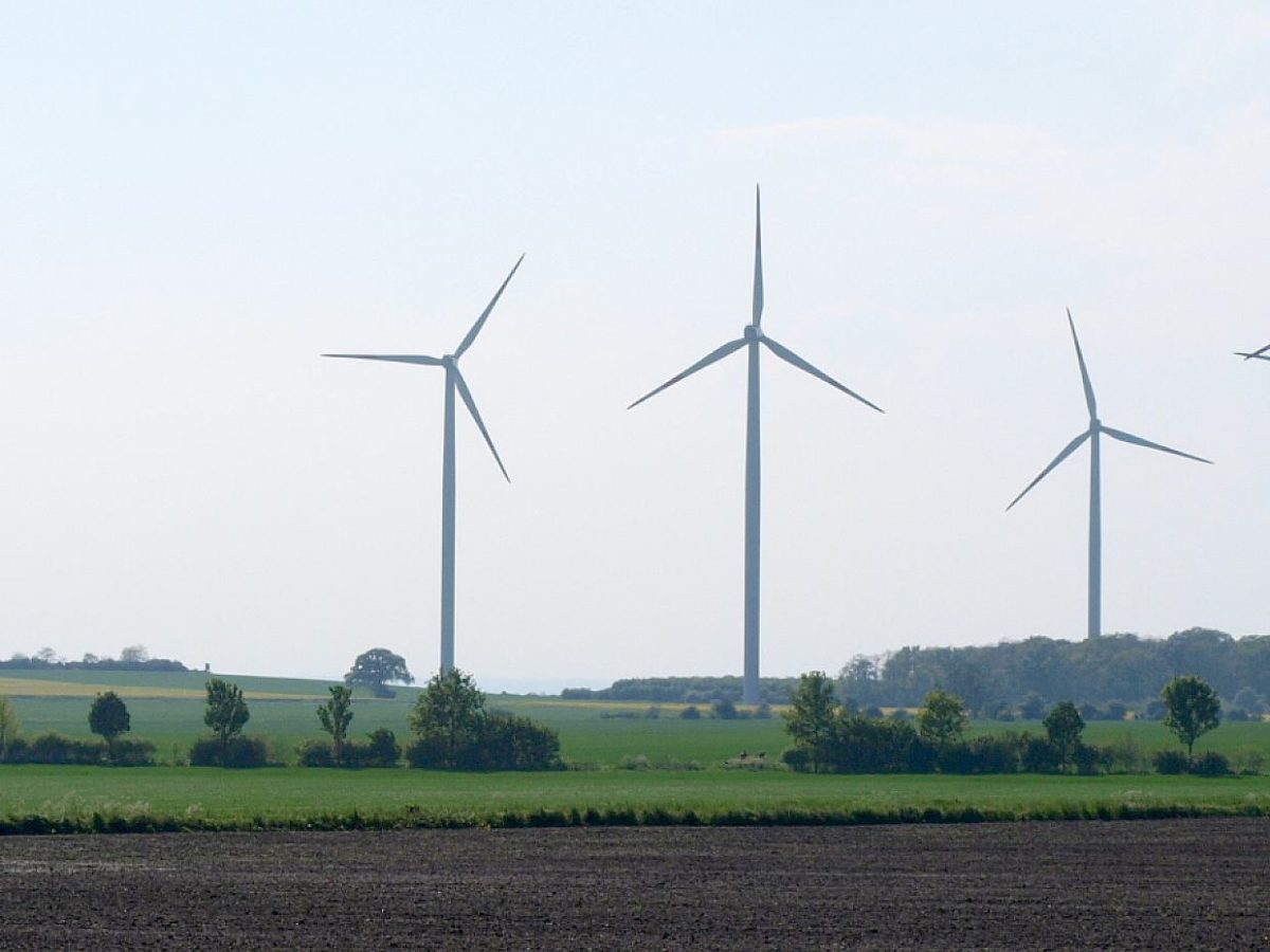 Nistplätze neben geplanten Windkraftanlagen oft illegal entfernt - bei Kurznachrichten Plus