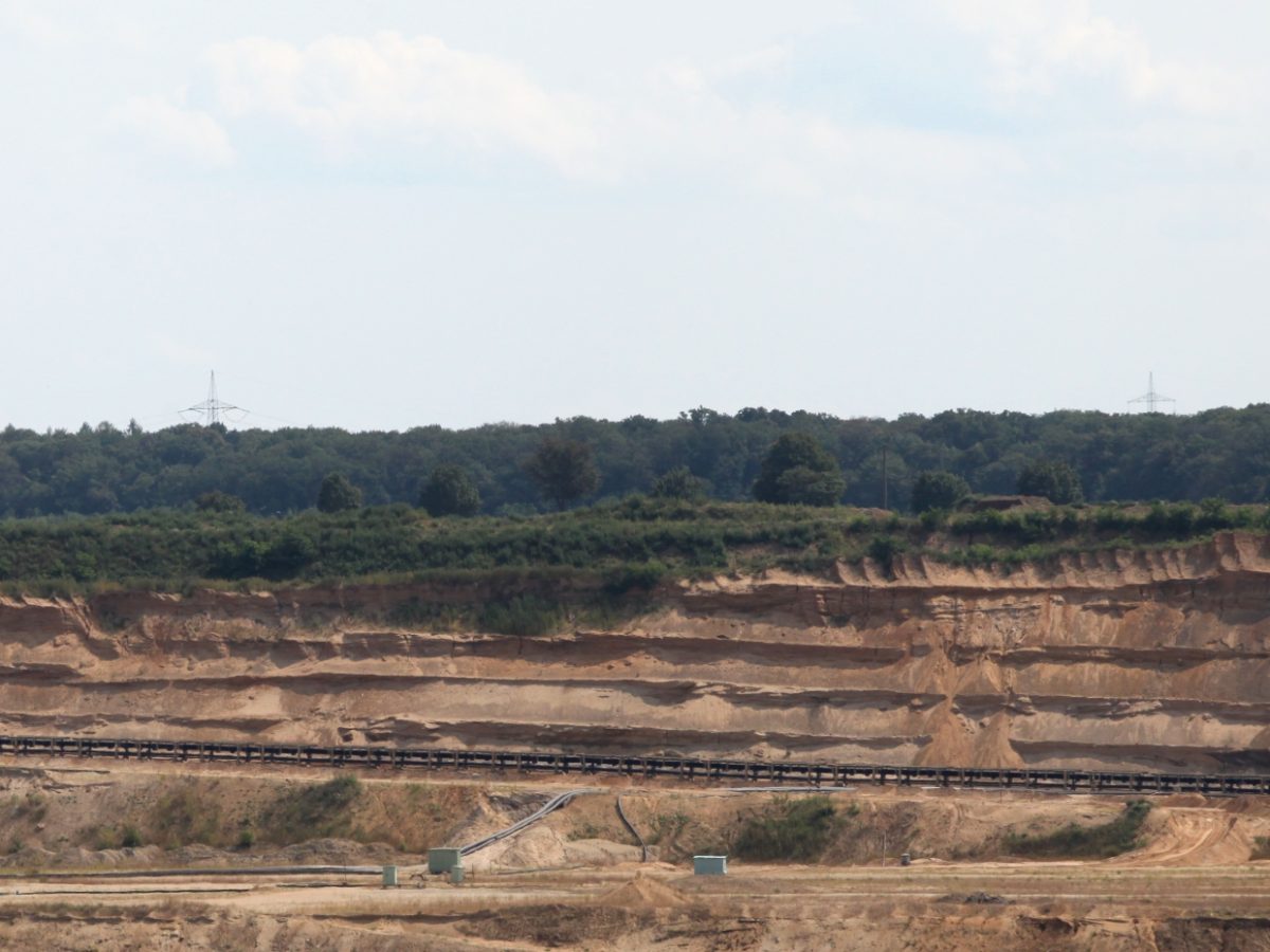 Urteil: Räumung im Hambacher Forst war rechtswidrig - bei Kurznachrichten Plus