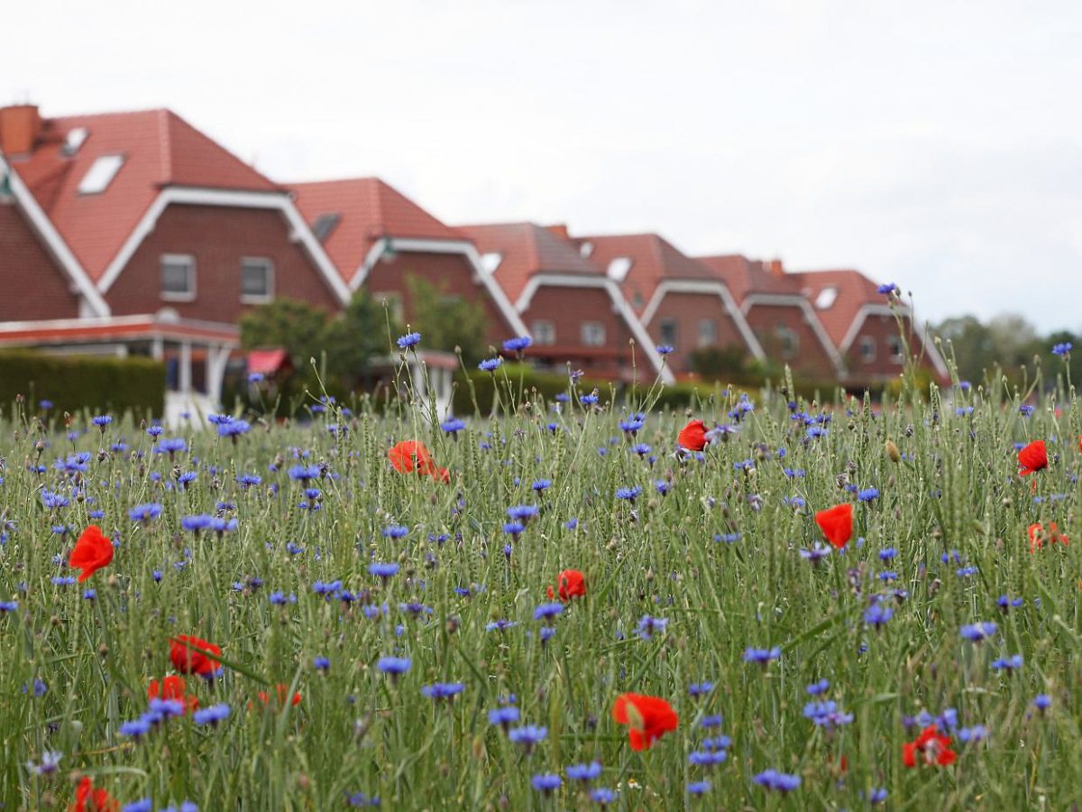 NRW warnt vor zu scharfen Standards bei neuer Bauförderung - bei Kurznachrichten Plus