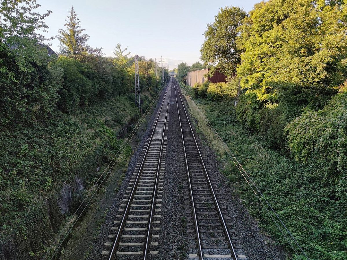 Umgestürzte Bäume stören immer häufiger den Bahnverkehr - bei Kurznachrichten Plus