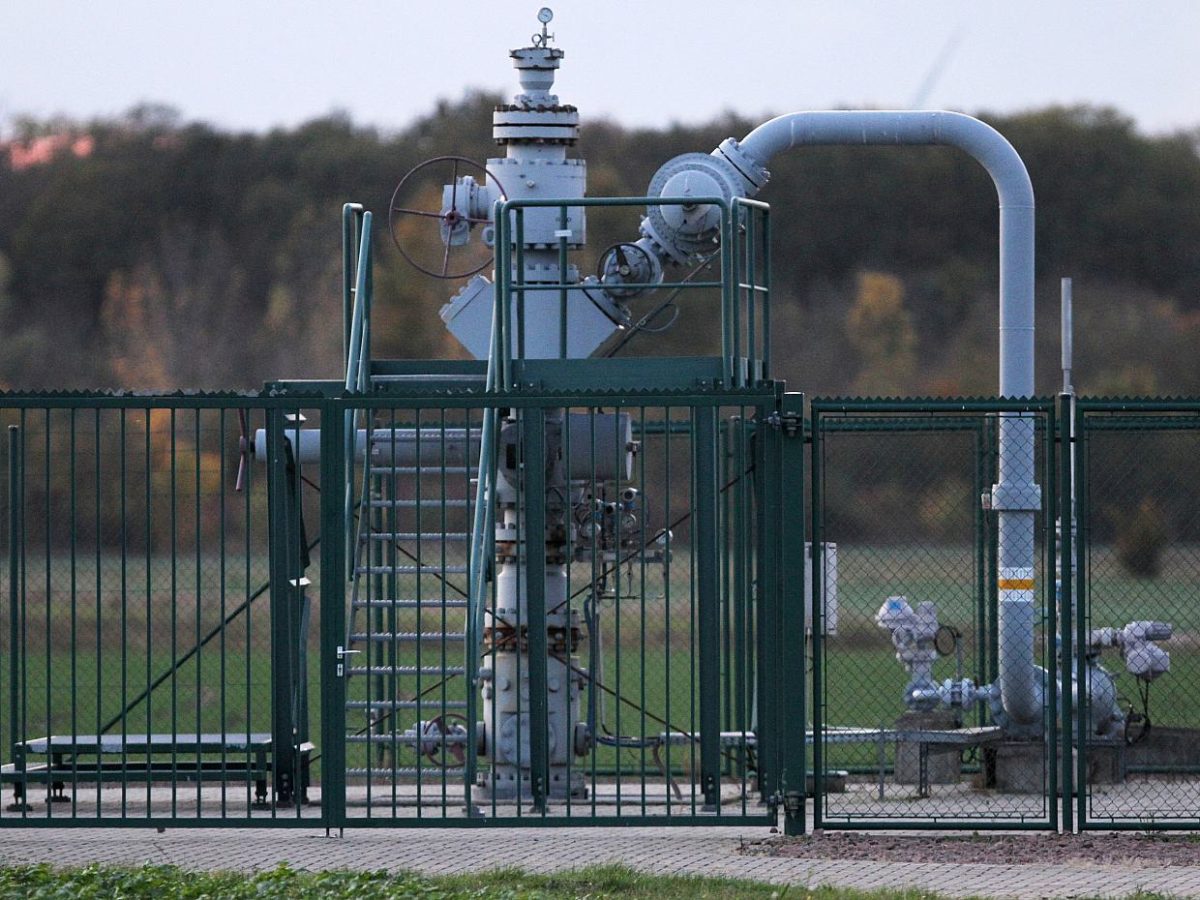 Linke wollen reduzierten Steuersatz auf Gas beibehalten - bei Kurznachrichten Plus