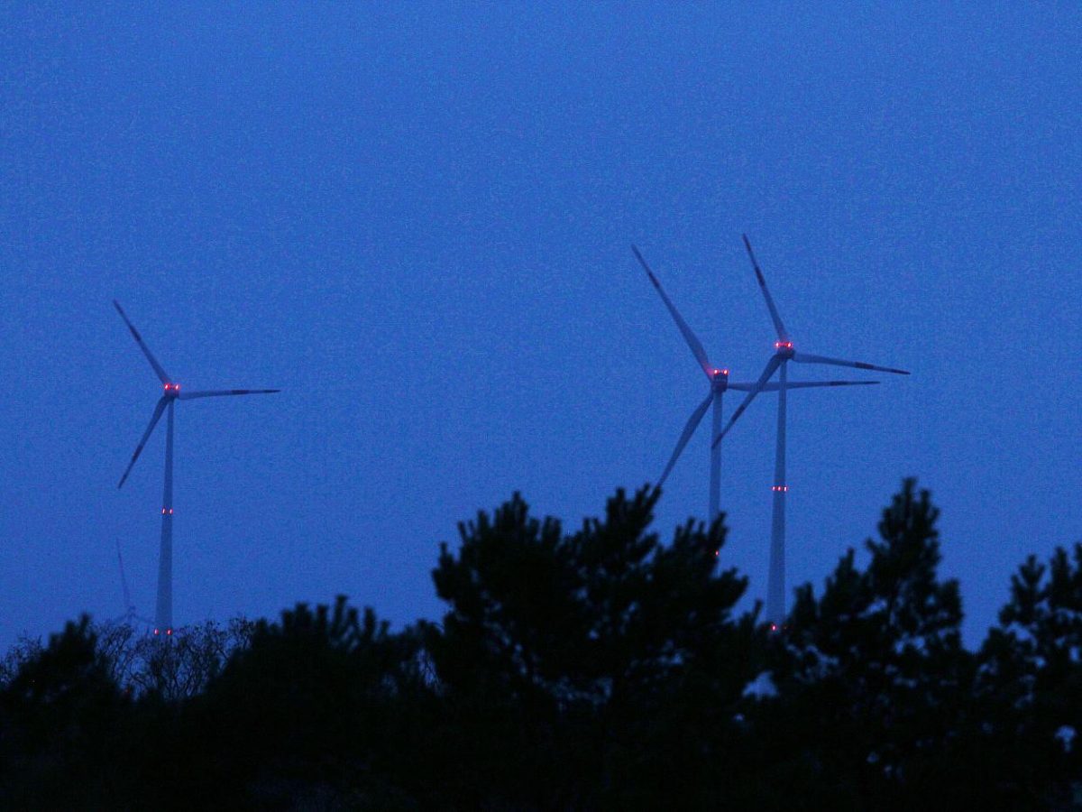 Karlsruhe: Länder können Windräder im Wald nicht generell verbieten - bei Kurznachrichten Plus