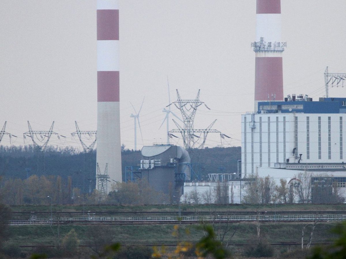 FDP lehnt weitere Abschöpfung der Gewinne im Energiesektor ab - bei Kurznachrichten Plus