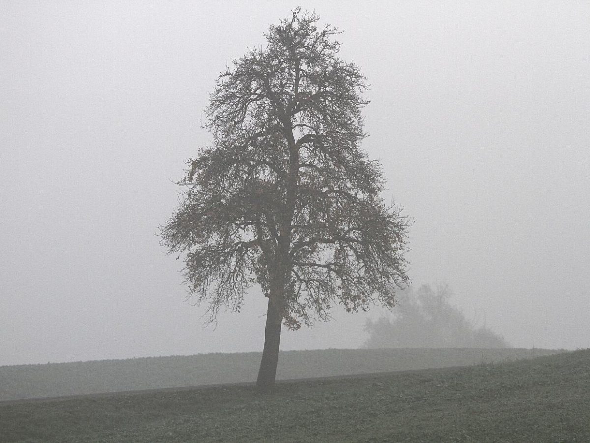 Wetterdienst meldet zwölften zu warmen Winter in Folge - bei Kurznachrichten Plus