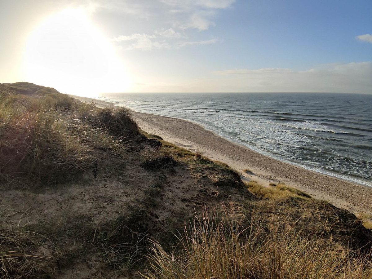 Meeresbiologin sieht Nachholbedarf bei Schutz von Nord- und Ostsee - bei Kurznachrichten Plus