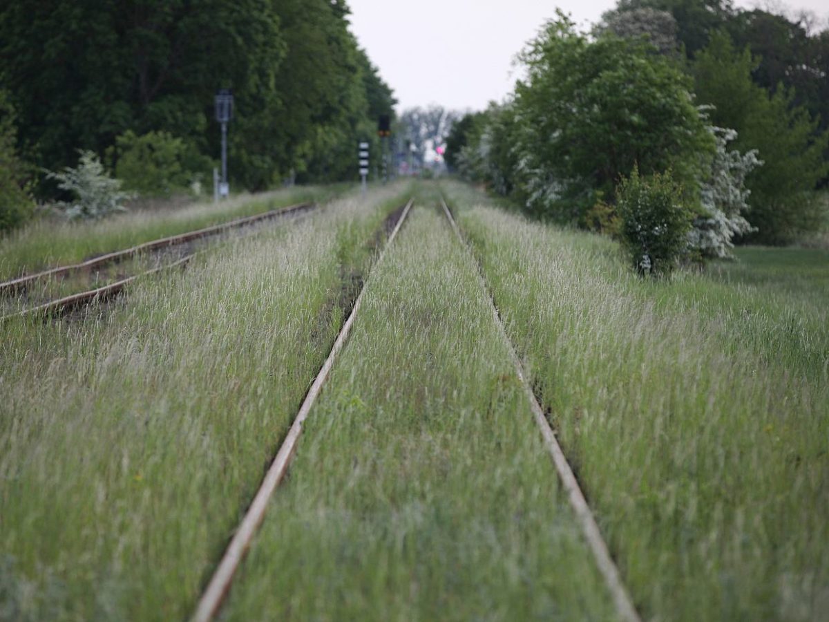 Studie: Deutsches Bahnnetz schrumpft in Europa am stärksten - bei Kurznachrichten Plus