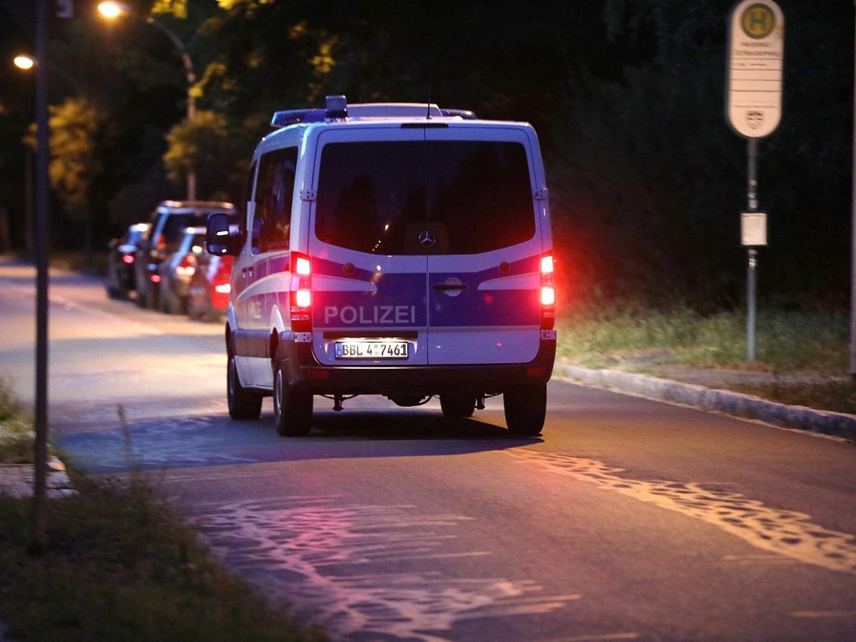 Polizei sucht bislang vergeblich nach Löwin - bei Kurznachrichten Plus