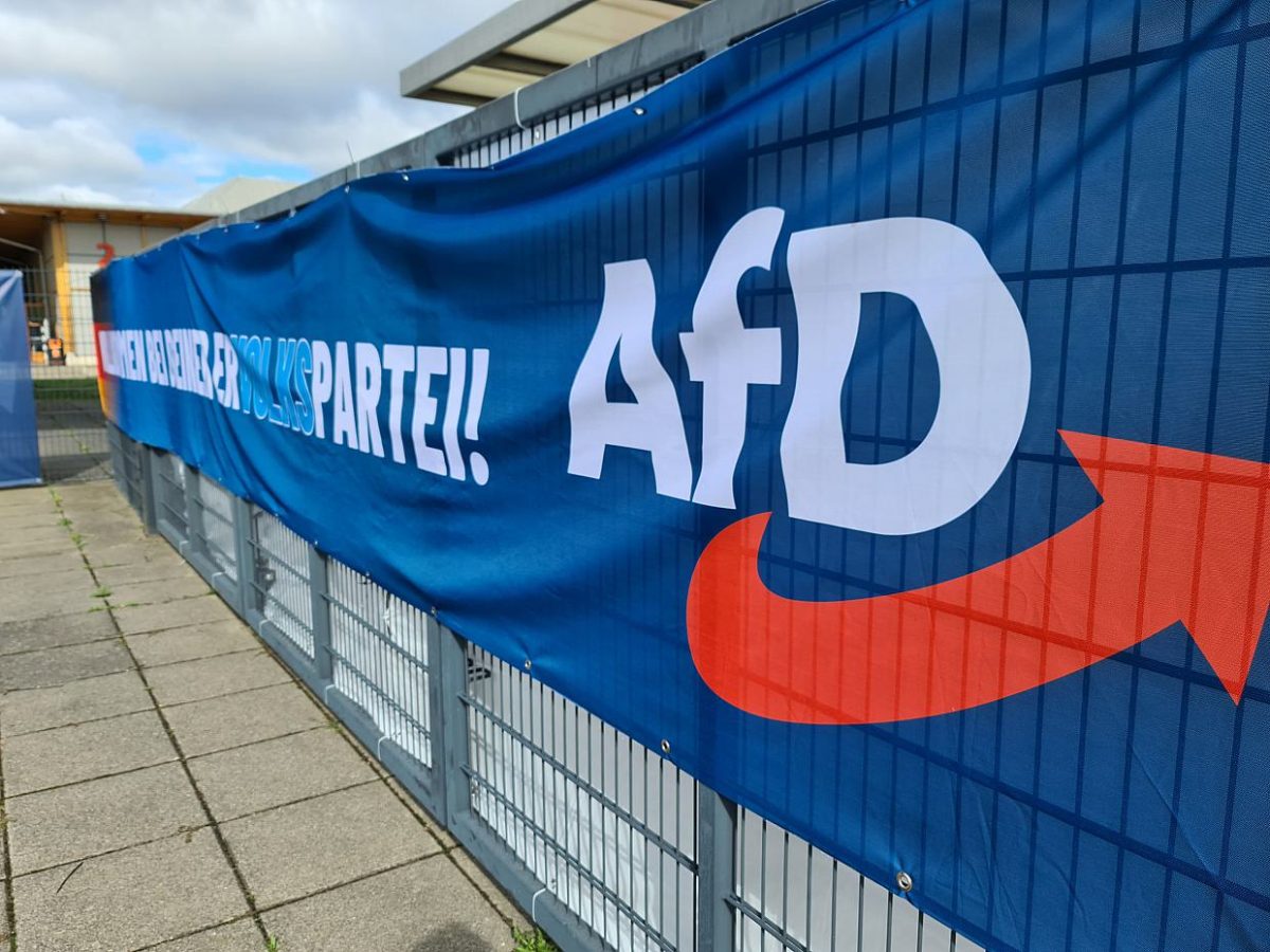 AfD in Umfrage zu Ost-Landtagswahlen stärkste Kraft - bei Kurznachrichten Plus