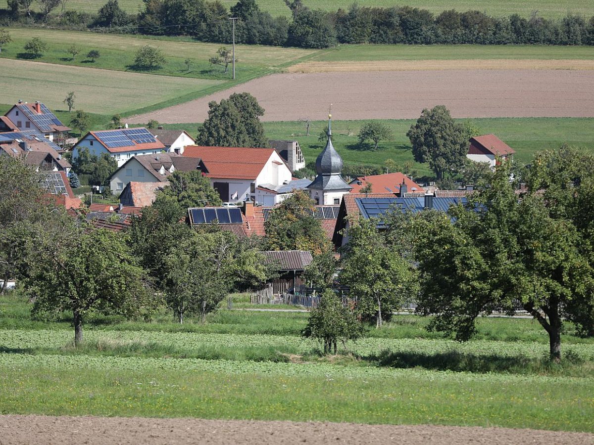 Forscher rechnen mit immer mehr Zecken - bei Kurznachrichten Plus