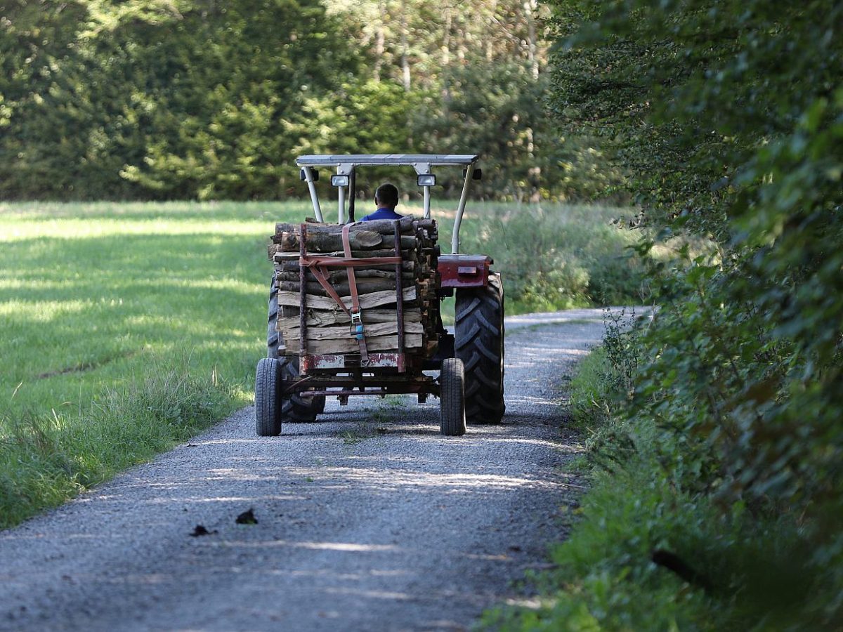 Verfassungsschützer warnt vor Unterwanderung der Bauernproteste - bei Kurznachrichten Plus