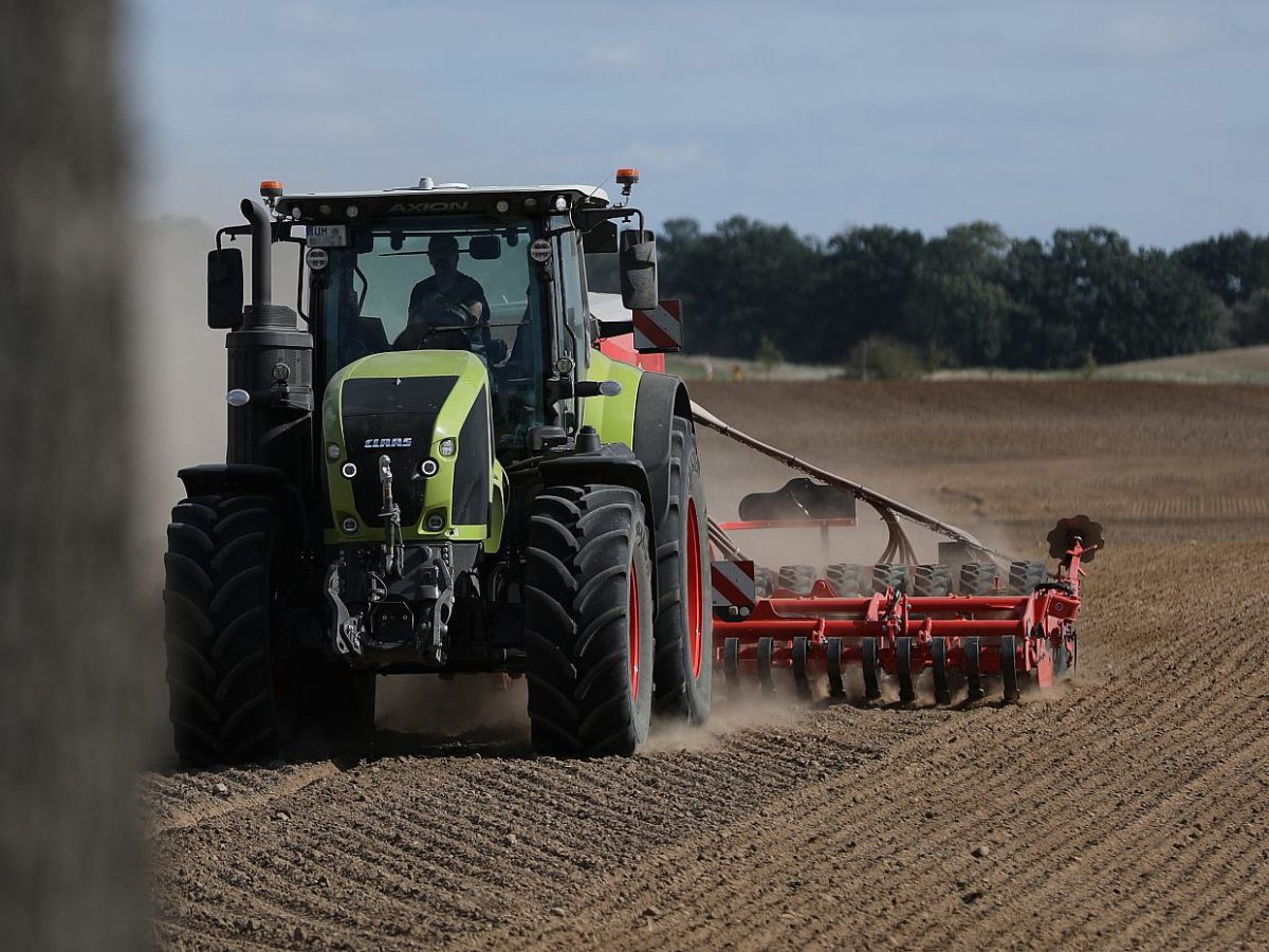 Erzeugerpreise landwirtschaftlicher Produkte sinken weiter stark - bei Kurznachrichten Plus