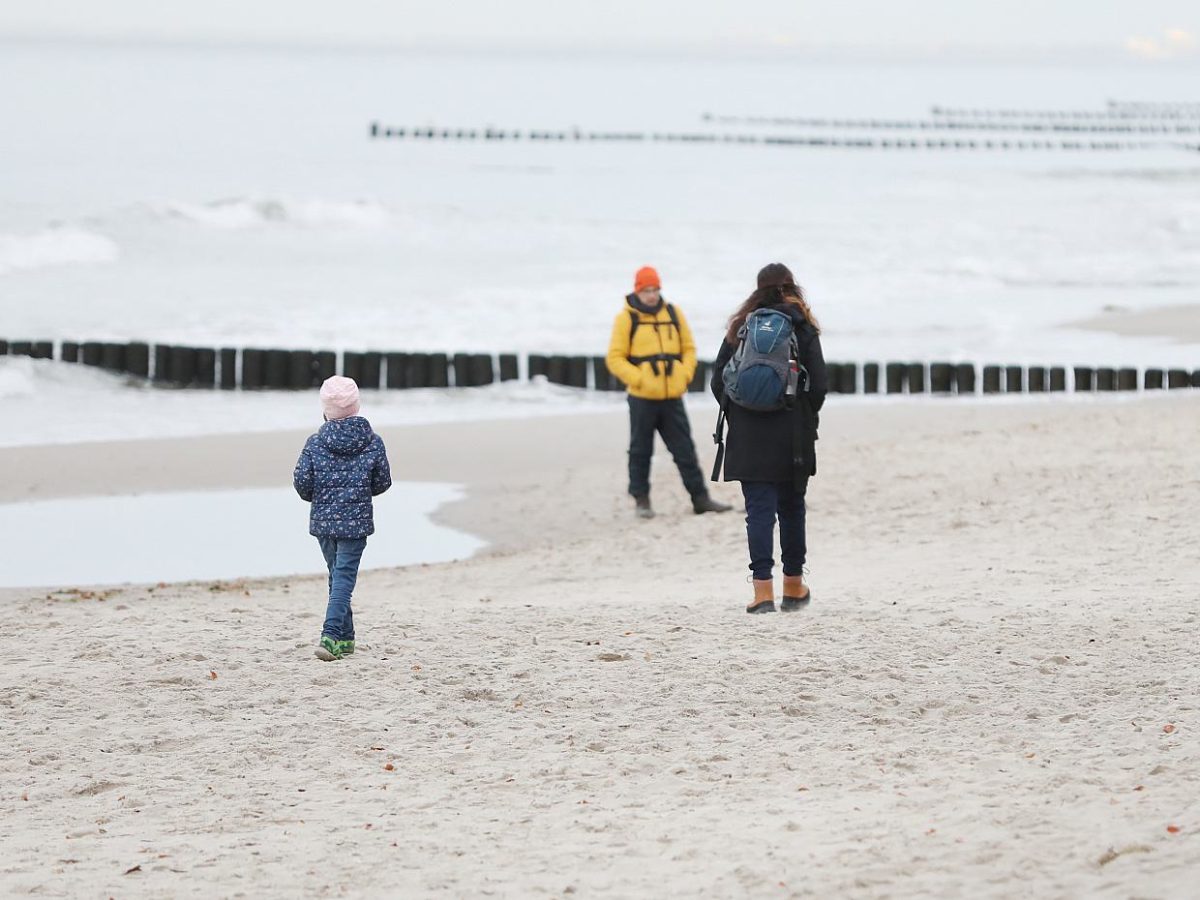 Handwerk lehnt geplante Familienstartzeit ab - bei Kurznachrichten Plus