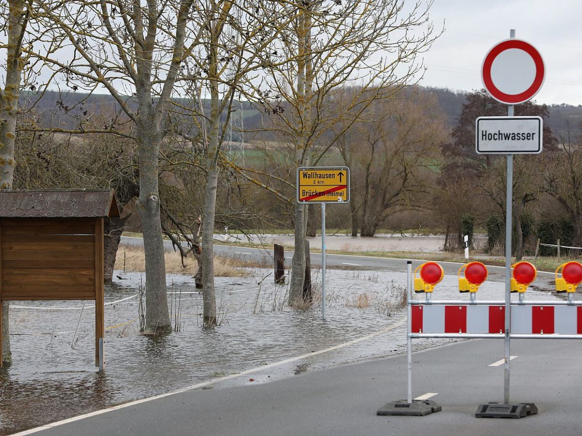 Grüne offen für Aussetzen der Schuldenbremse wegen Hochwasser - bei Kurznachrichten Plus