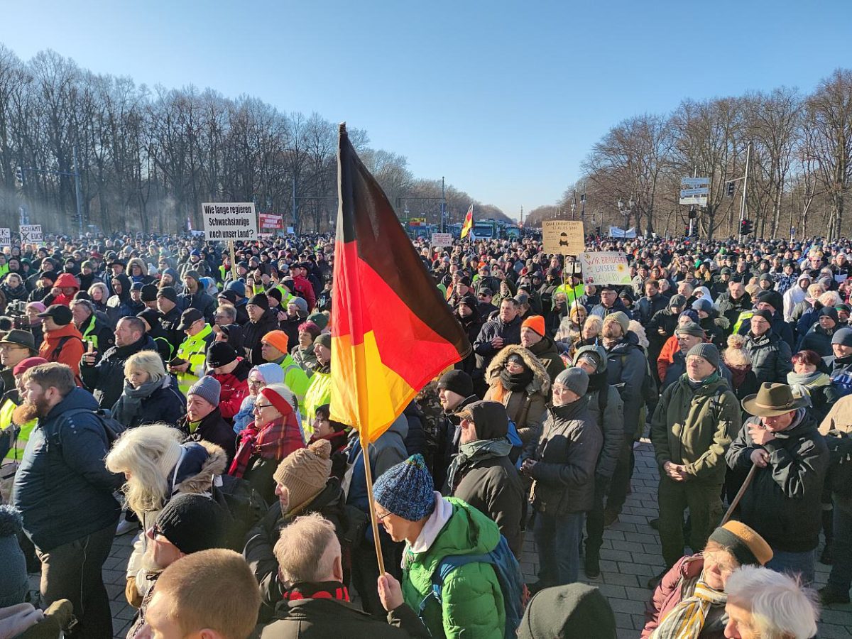 Stark-Watzinger äußert Verständnis für Bauern-Proteste - bei Kurznachrichten Plus