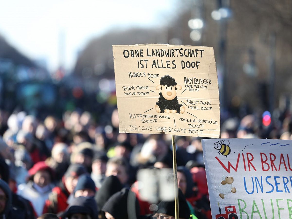 Dreyer verteidigt geplante Agrar-Subventionskürzungen - bei Kurznachrichten Plus