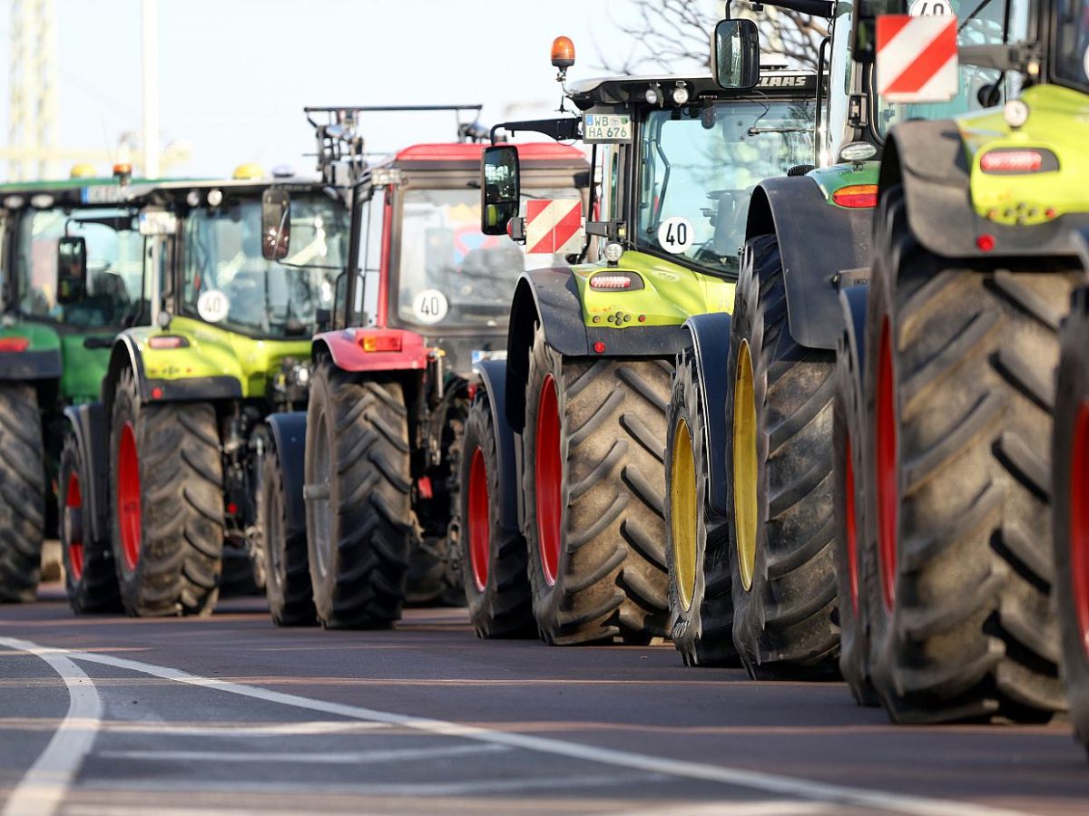 Grüne halten an Abbau von Agrardiesel-Subventionen fest - bei Kurznachrichten Plus