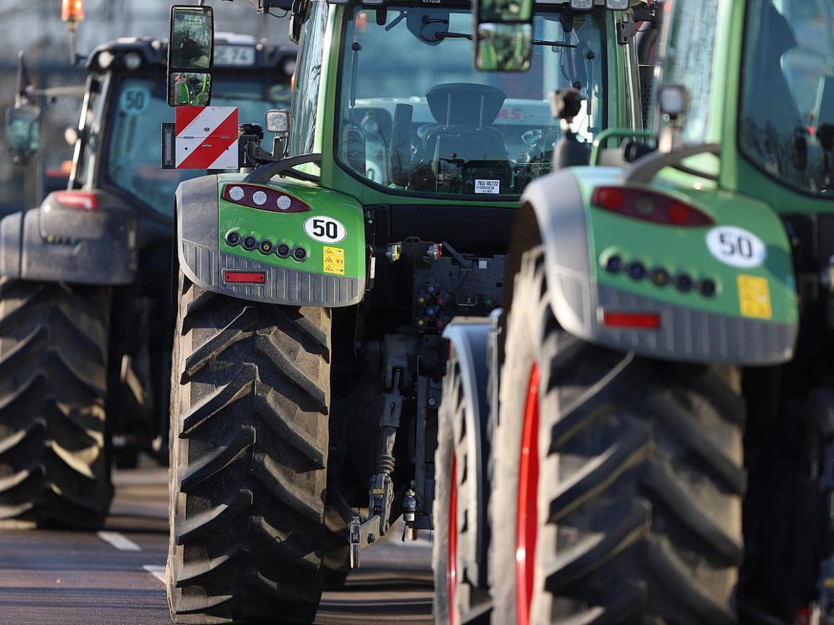 Zugeständnisse an Landwirte: Tschechien fordert weitere Hilfen - bei Kurznachrichten Plus