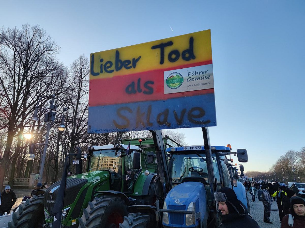 Faeser sieht geringen Einfluss von rechts auf Bauernproteste - bei Kurznachrichten Plus