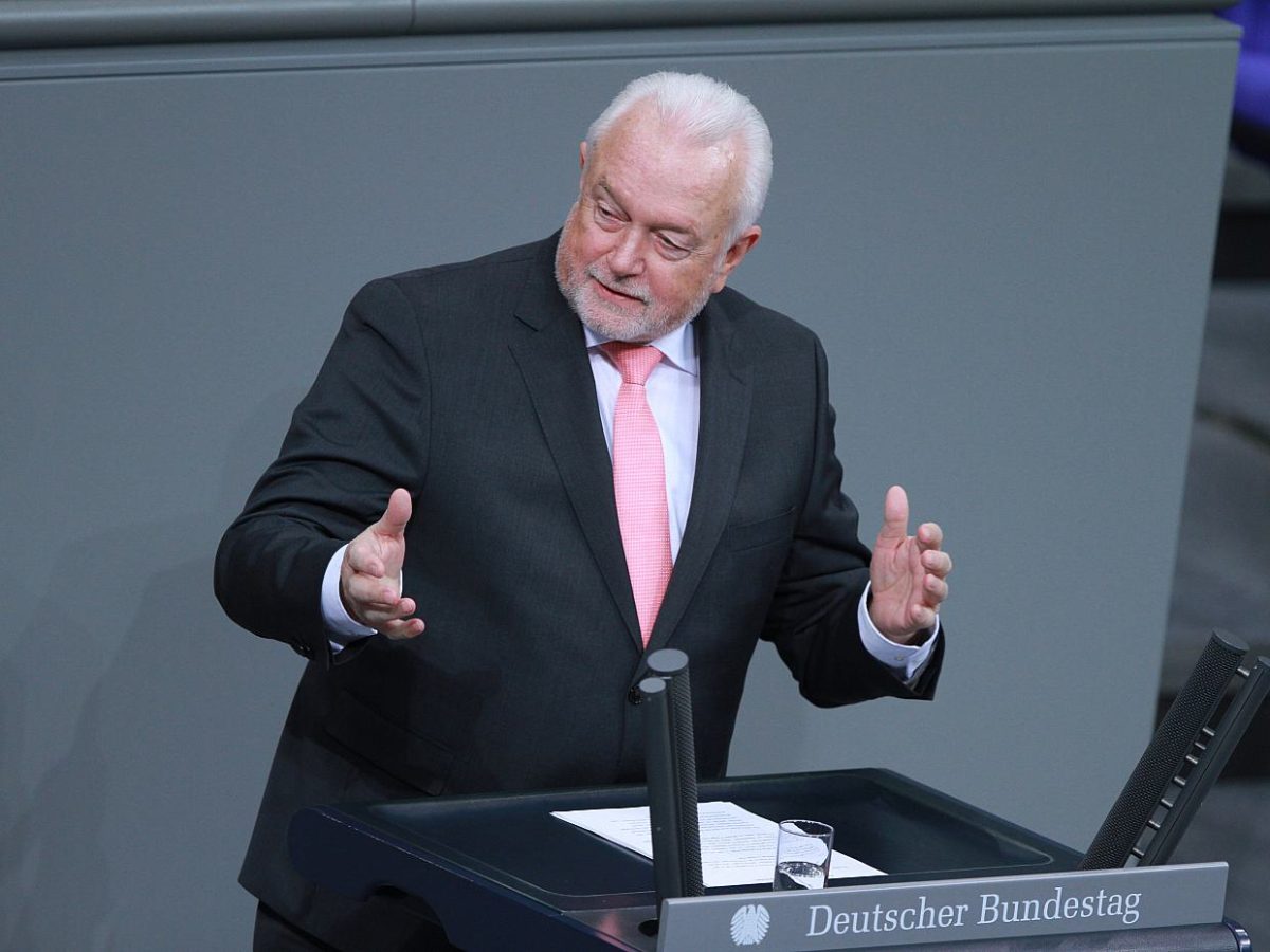 Kubicki fordert Einrichtung eines Nationalen Sicherheitsrat - bei Kurznachrichten Plus