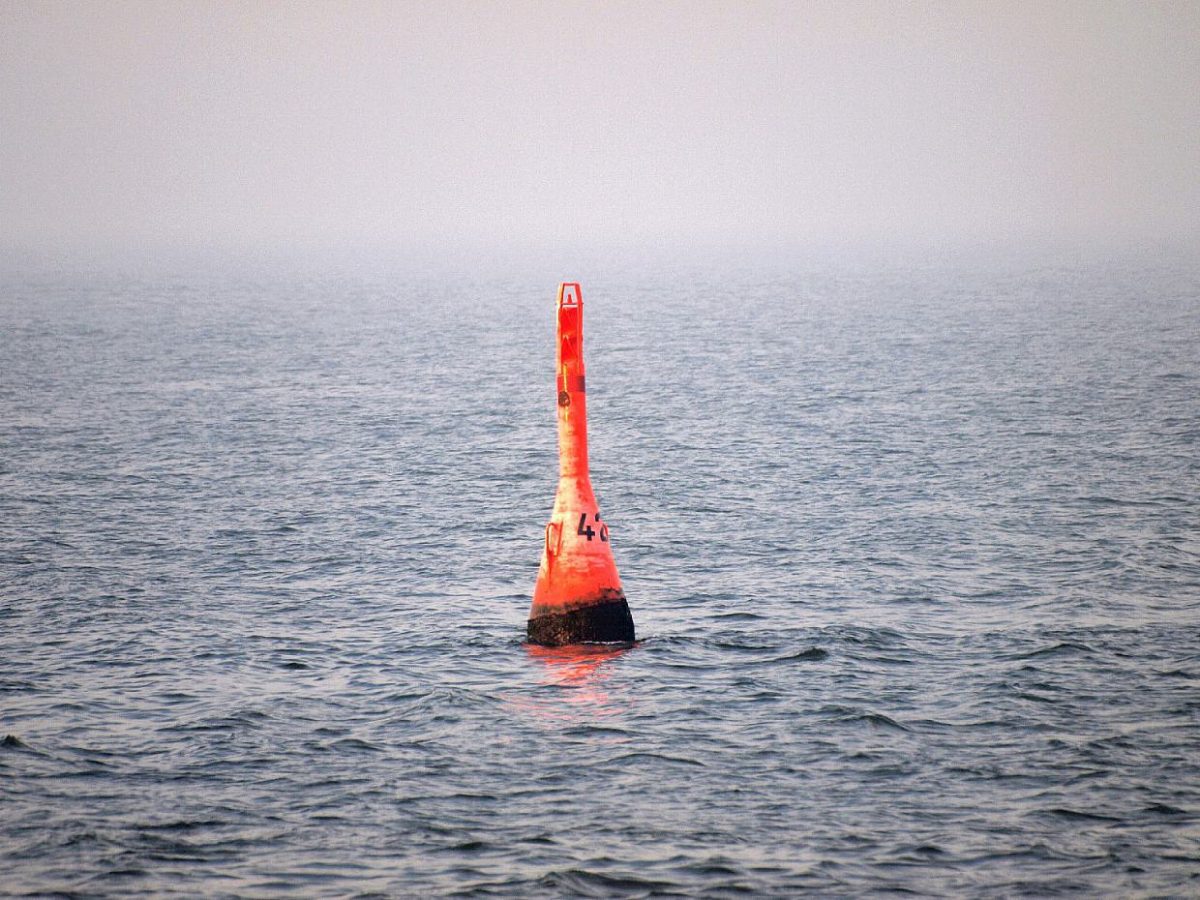 Weltkriegsmunition in Nord- und Ostsee belastet Speisefische - bei Kurznachrichten Plus