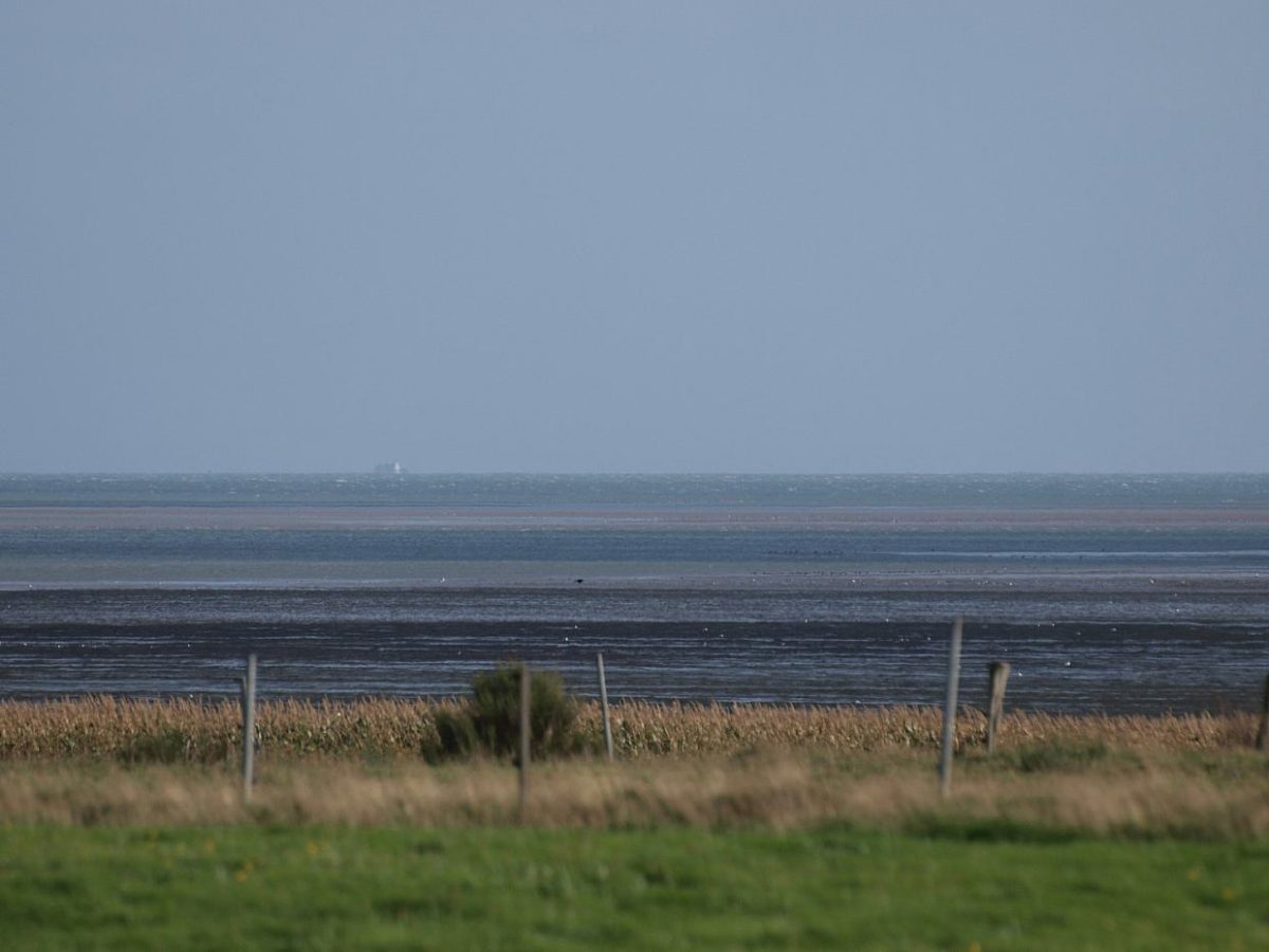 Wattenmeer soll bei Gasförderung vor Borkum außen vor bleiben - bei Kurznachrichten Plus