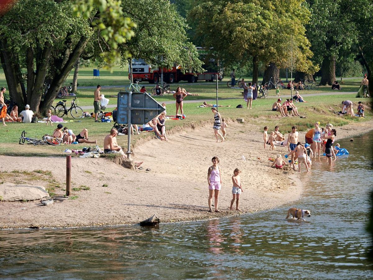 DLRG-Präsident verlangt Schwimmunterricht ab erster Klasse - bei Kurznachrichten Plus