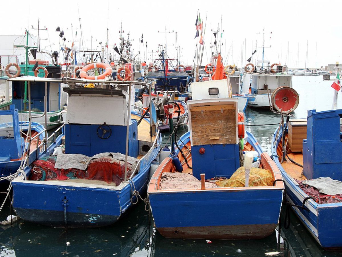 EU-Fischereirat erhöht Nordsee-Fangmengen - bei Kurznachrichten Plus