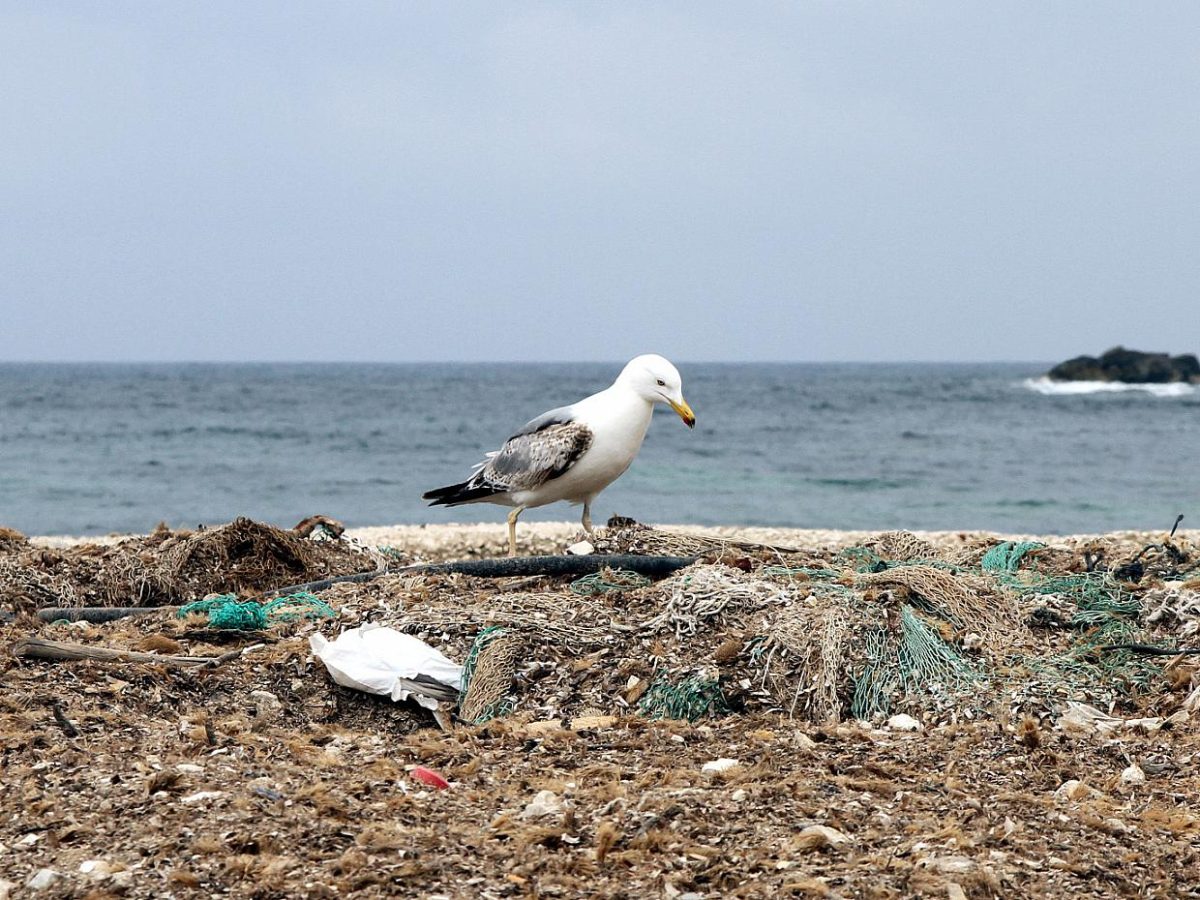 Verhandlungen um Plastikabkommen: Umweltschützer skeptisch - bei Kurznachrichten Plus