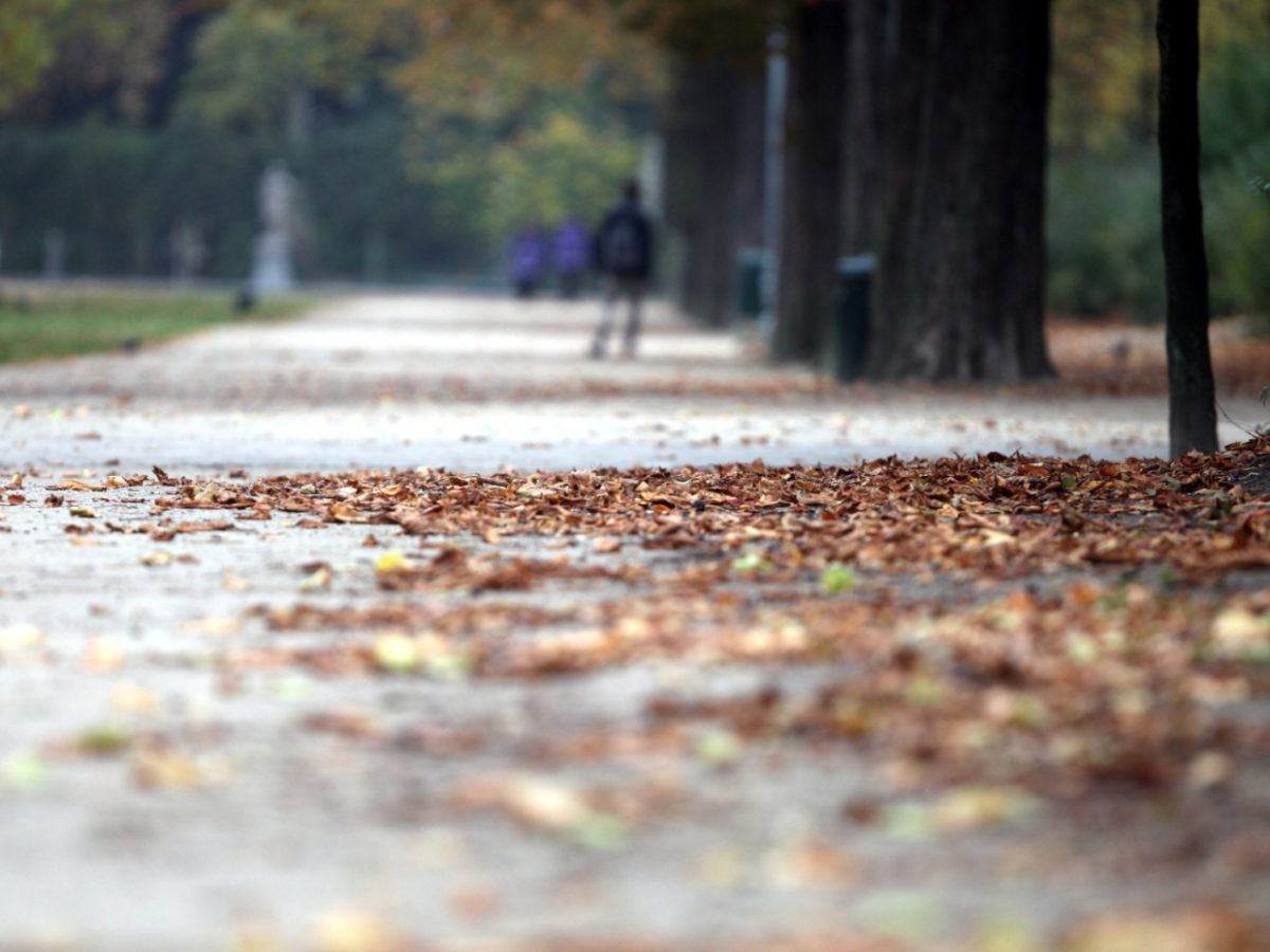 Wetterdienst: Herbst war zu warm und deutlich zu trocken - bei Kurznachrichten Plus