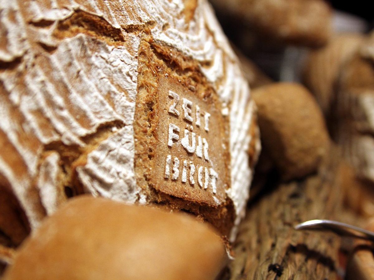 Schaben und Kot in Großbäckereien gefunden - bei Kurznachrichten Plus