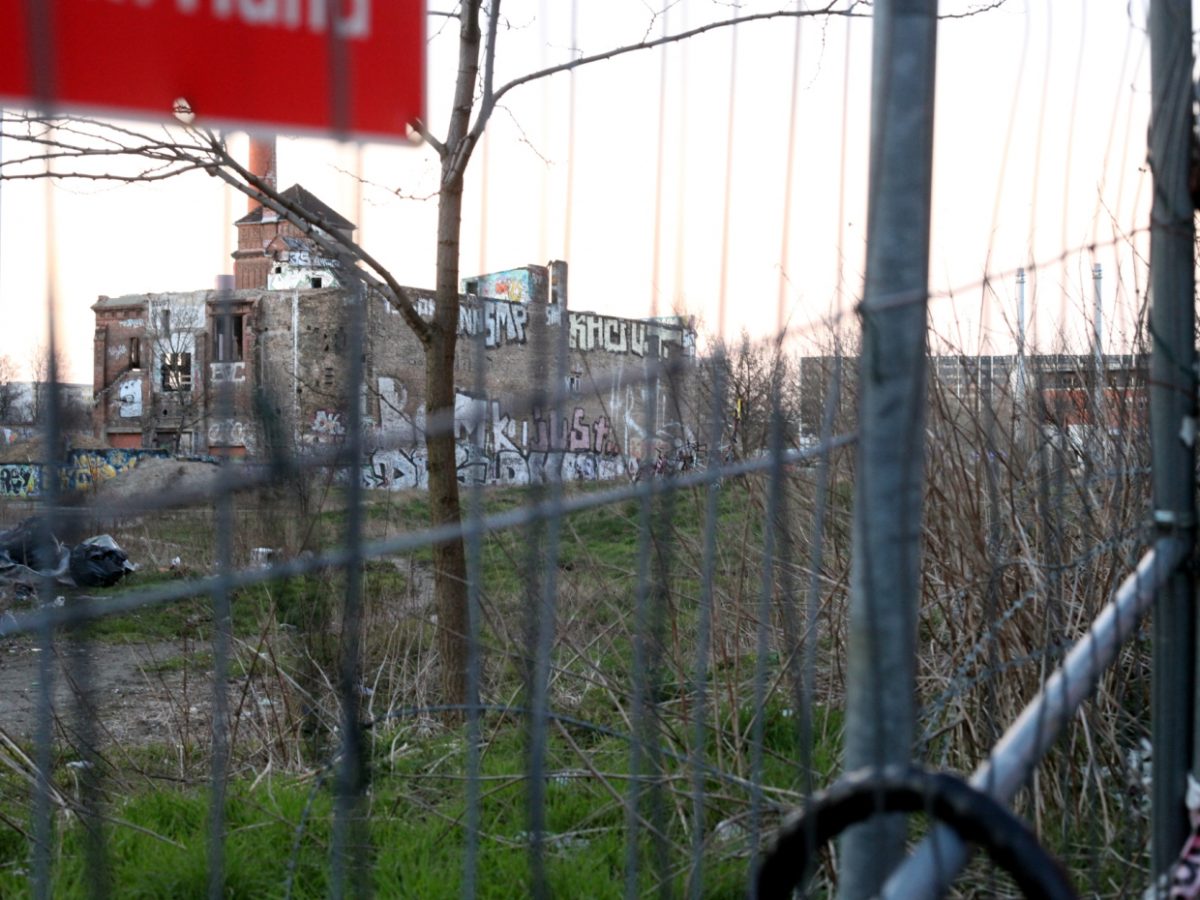 Ökonom Fuest sieht „Bodenwertzuwachssteuer“ kritisch - bei Kurznachrichten Plus